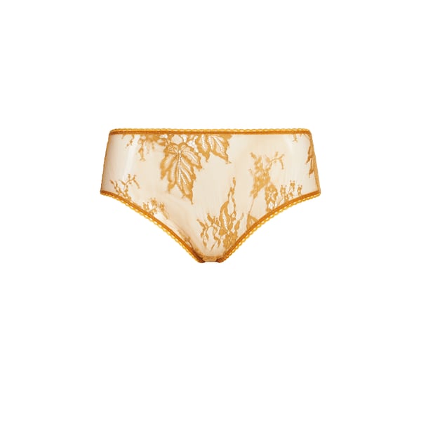 Culotte en dentelle Culotte en dentelle