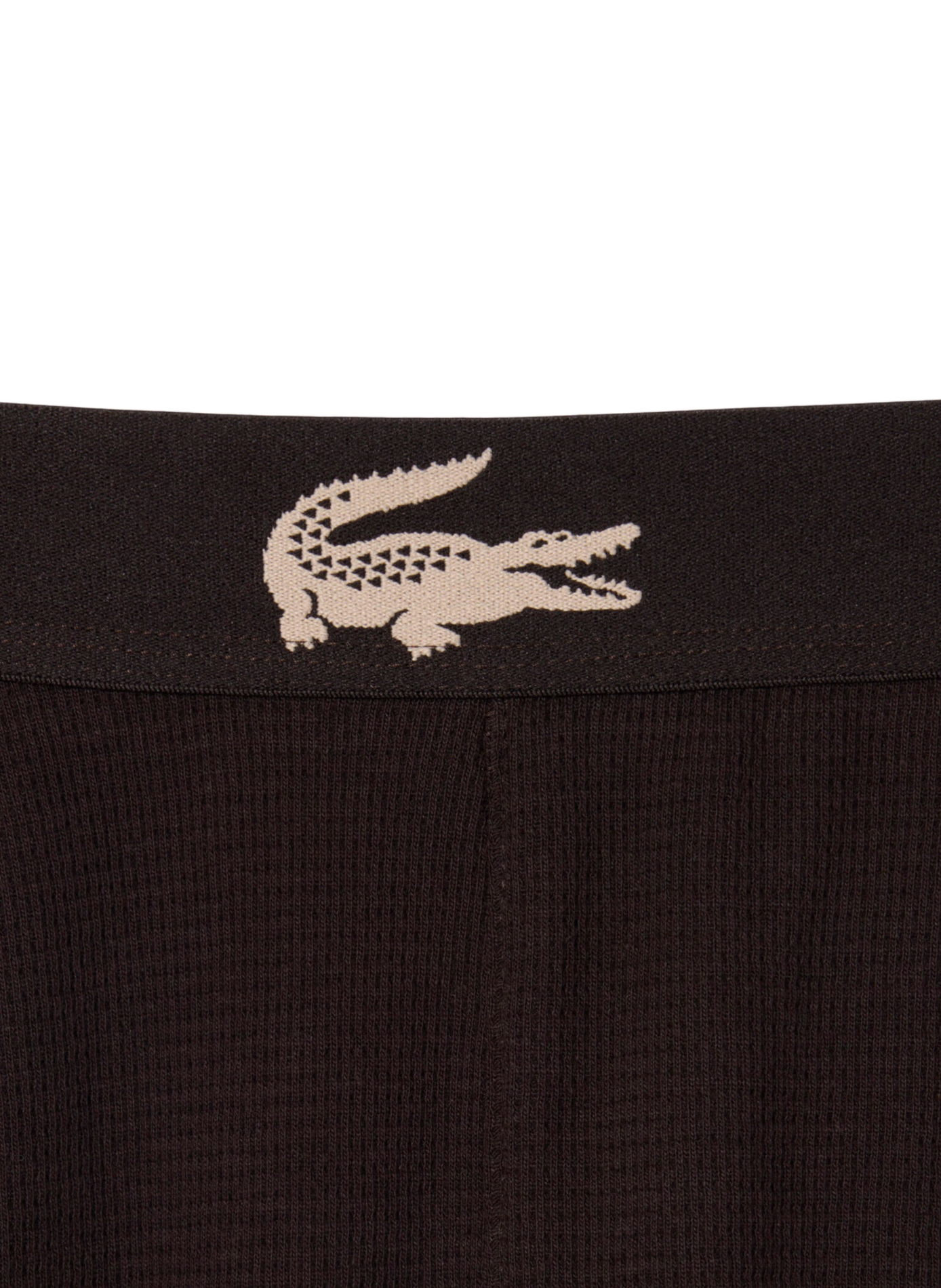 Wollhose mit geradem Schnitt LACOSTE Braun