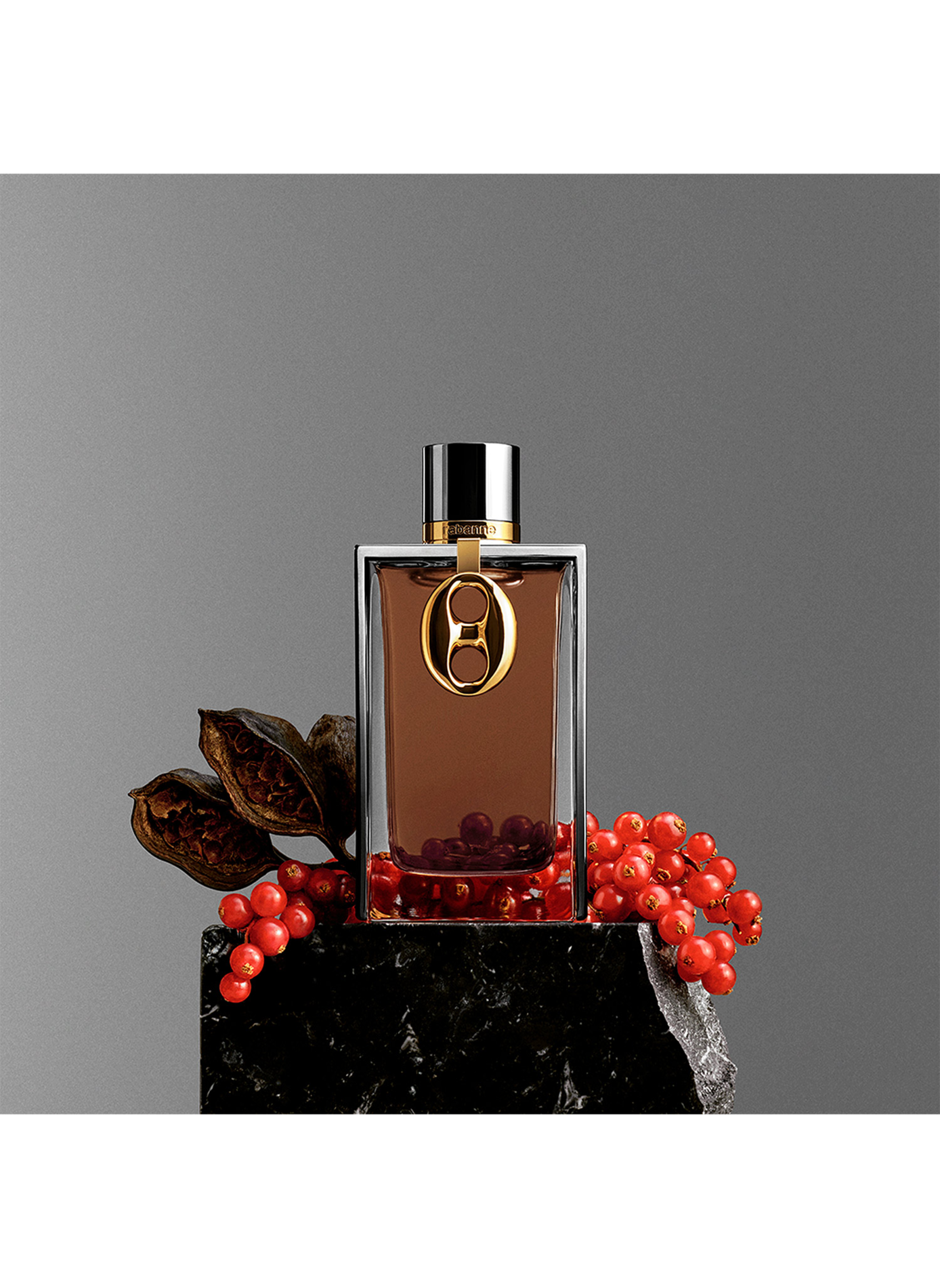 Die Rabanne-Kollektion - Rüstung Mara RABANNE No color