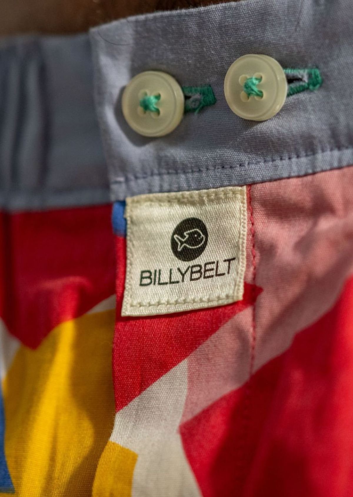 Caleçon en coton biologique BILLYBELT Multicolore