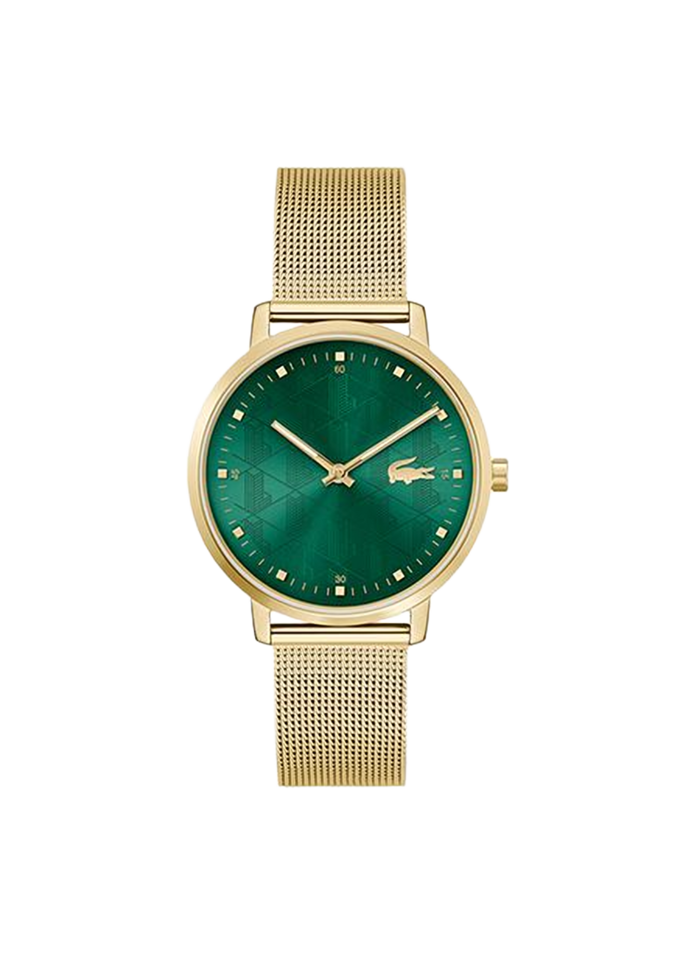 Montre quartz Crocorigin en acier inoxydable LACOSTE MONTRES Vert