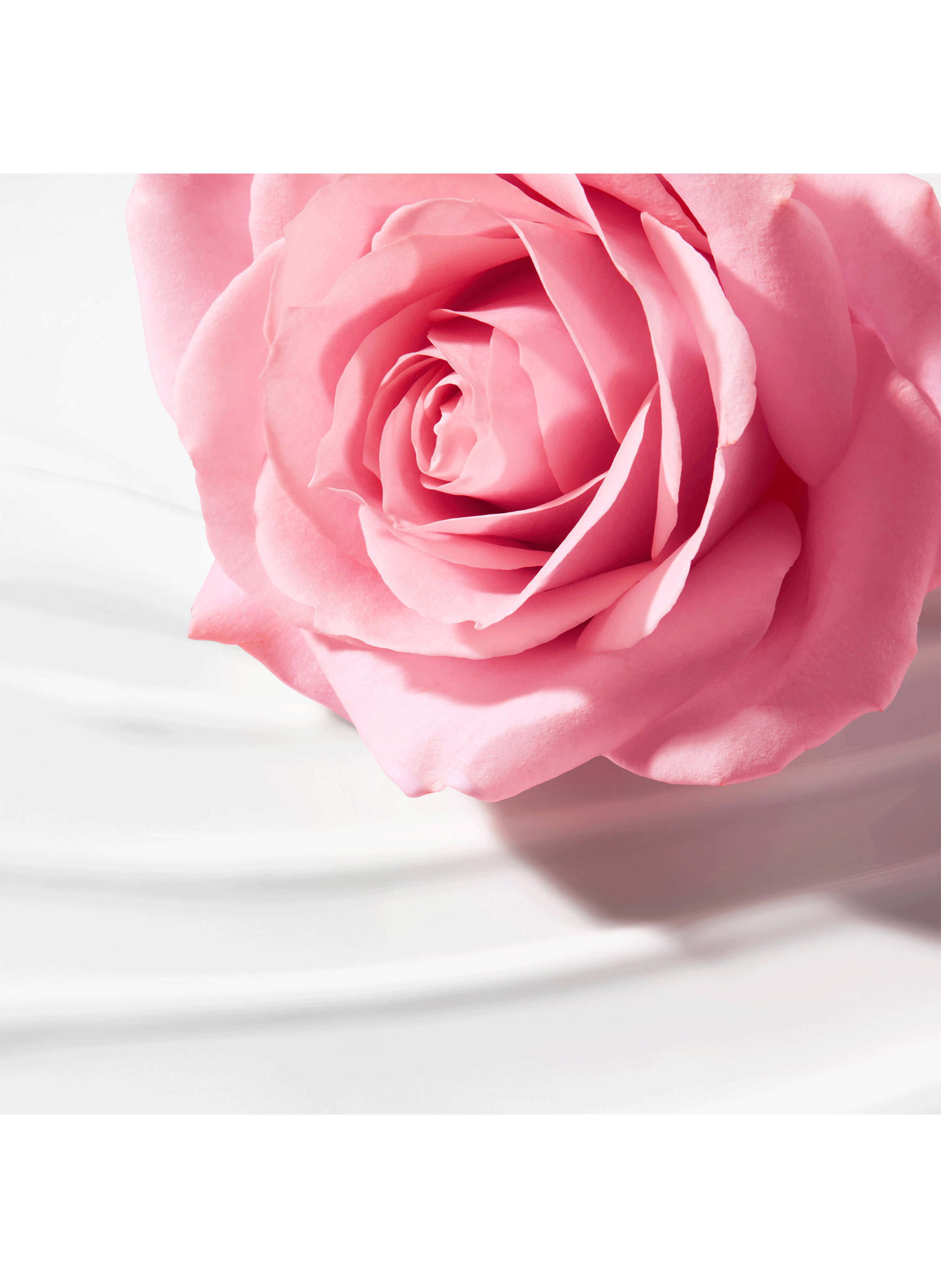 Lait Démaquillant Onctueux - Very Rose NUXE No color