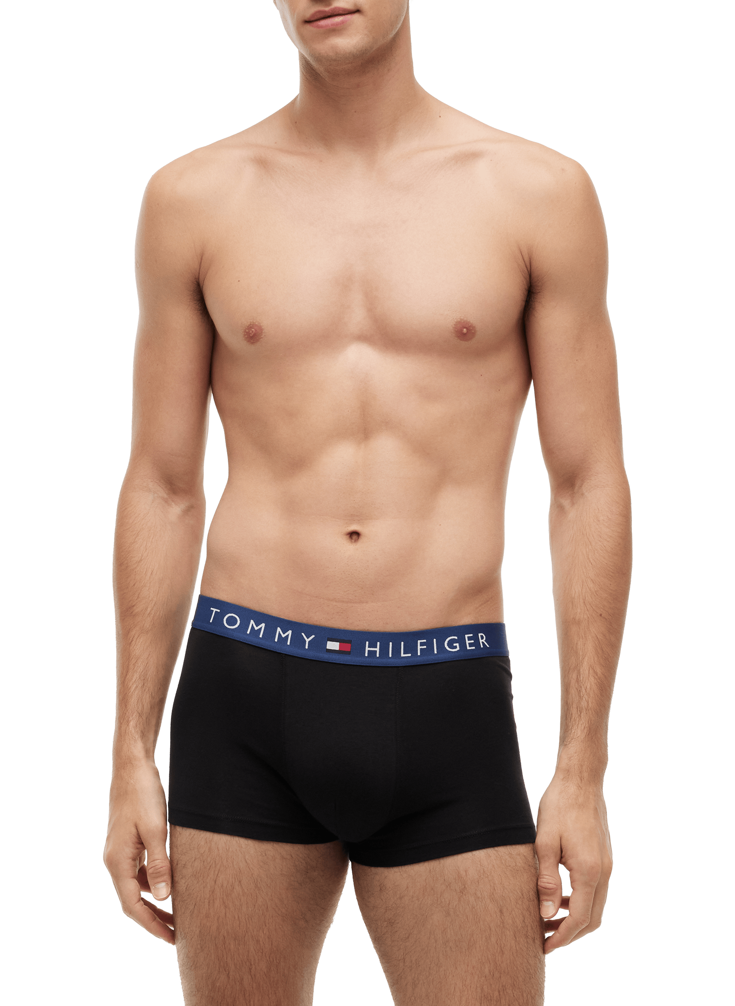 Lot de 3 caleçons en coton TOMMY HILFIGER Noir