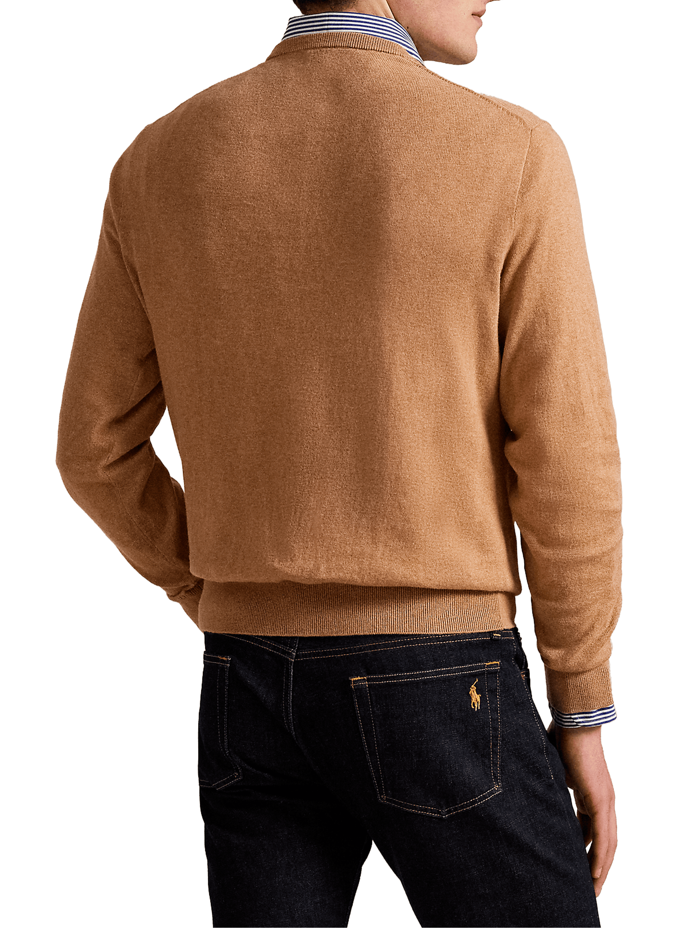 Straight embroidered sweater in cotton and cashmere blend POLO RALPH LAUREN Beige