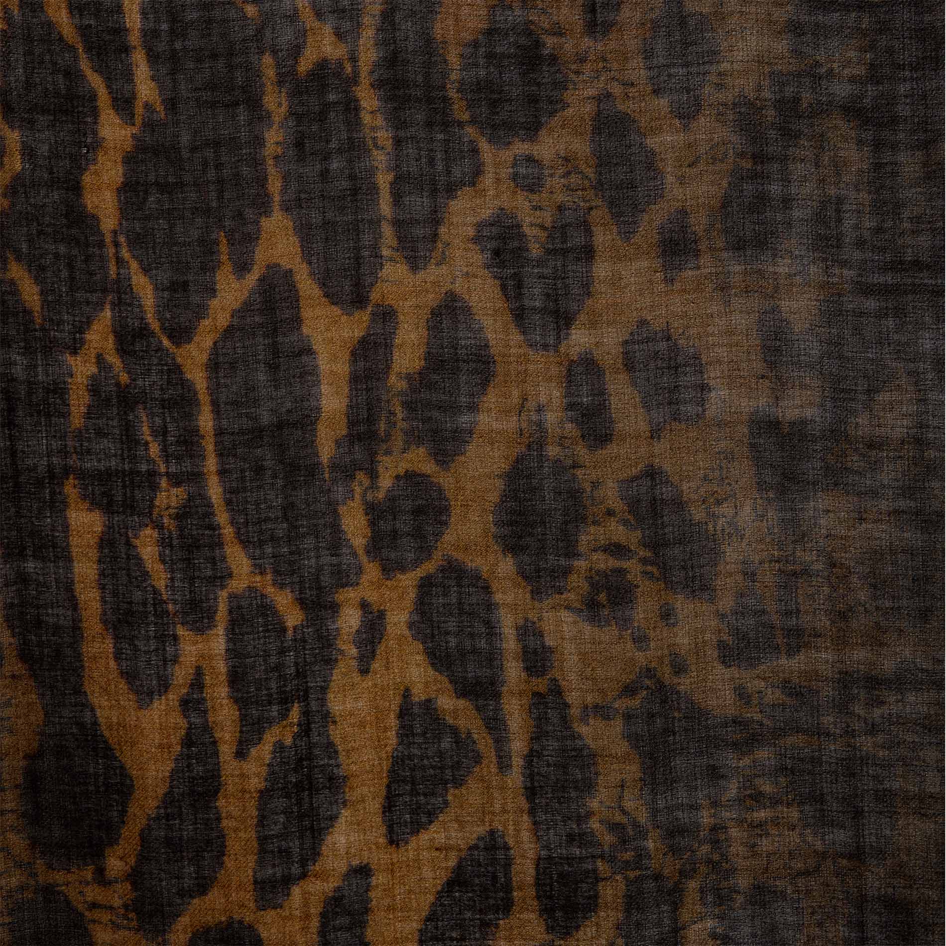 Foulard en laine imprimé judy ZADIG&VOLTAIRE Beige