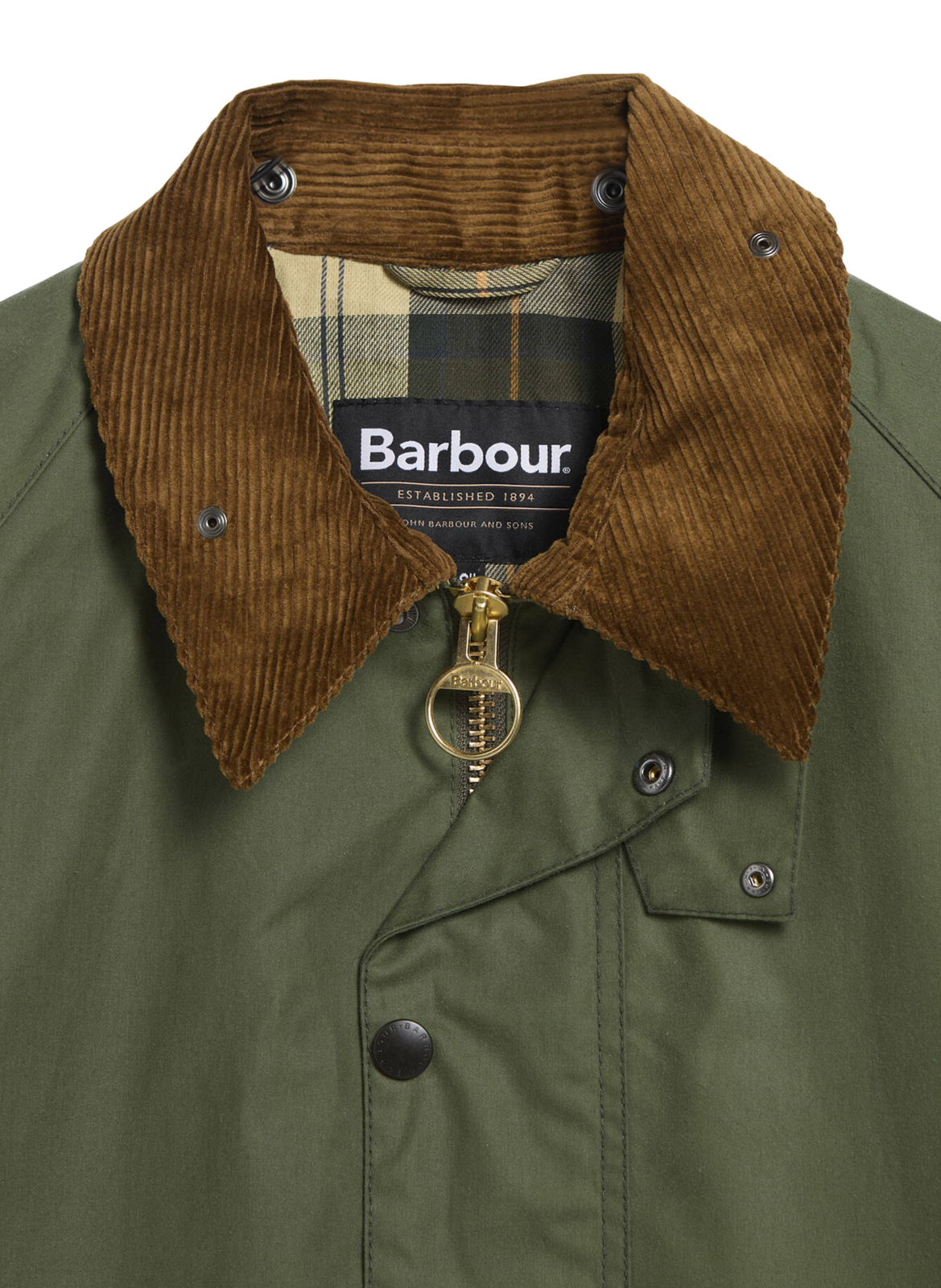 Parka droite en coton BARBOUR Vert