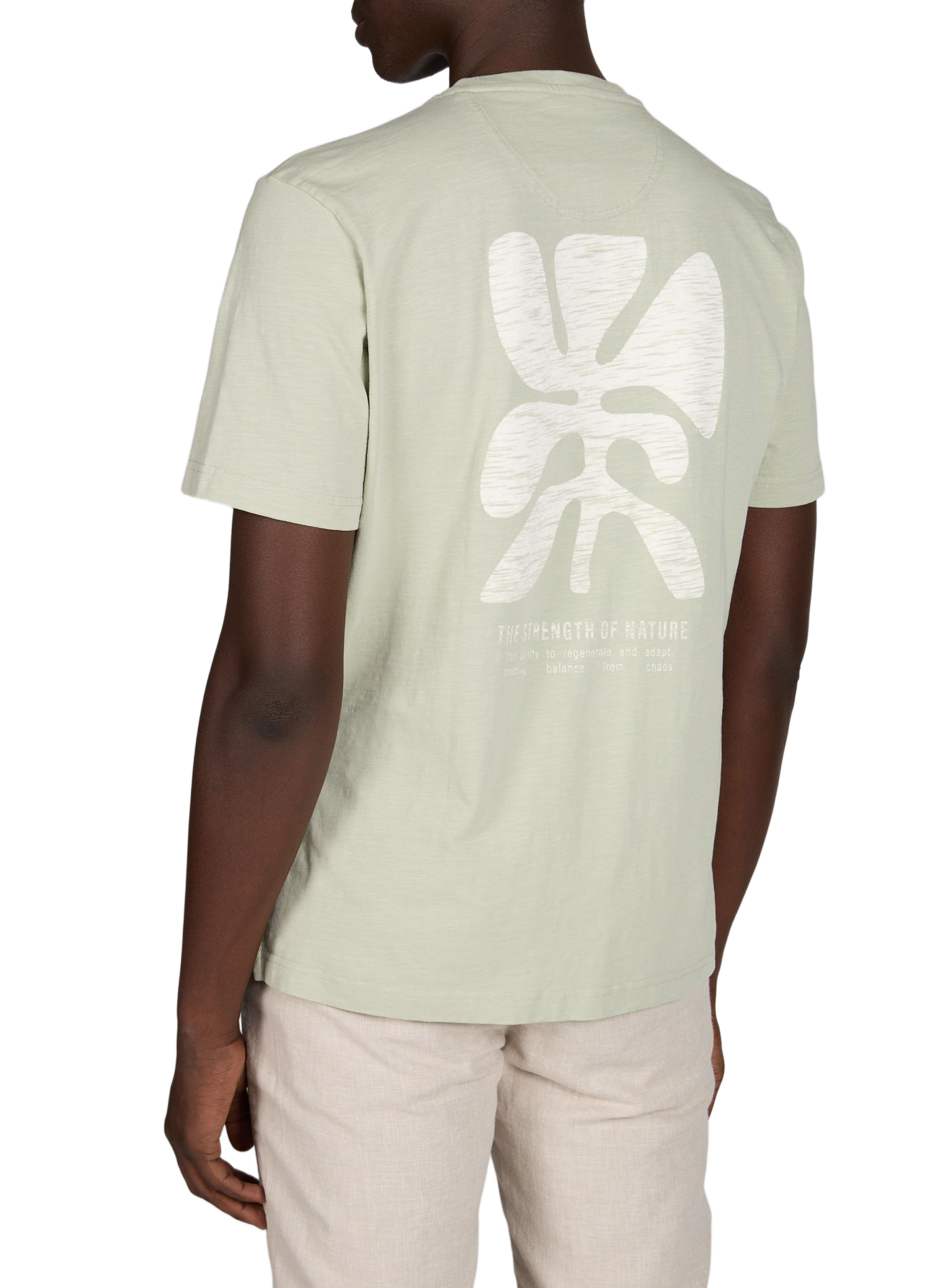 Cotton round-neck T-shirt PIERRE CARDIN Green