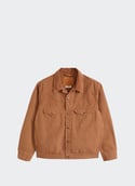 Veste droite col classique en coton WESTERN SHORTHORN TRK Bison