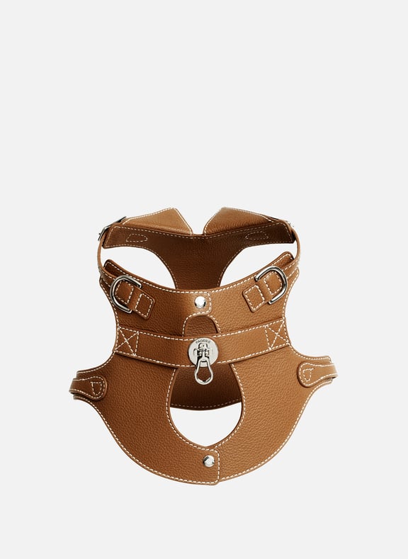 Harnais pour chien en cuir  PAGERIE Harnais pour chien en cuir  PAGERIE
