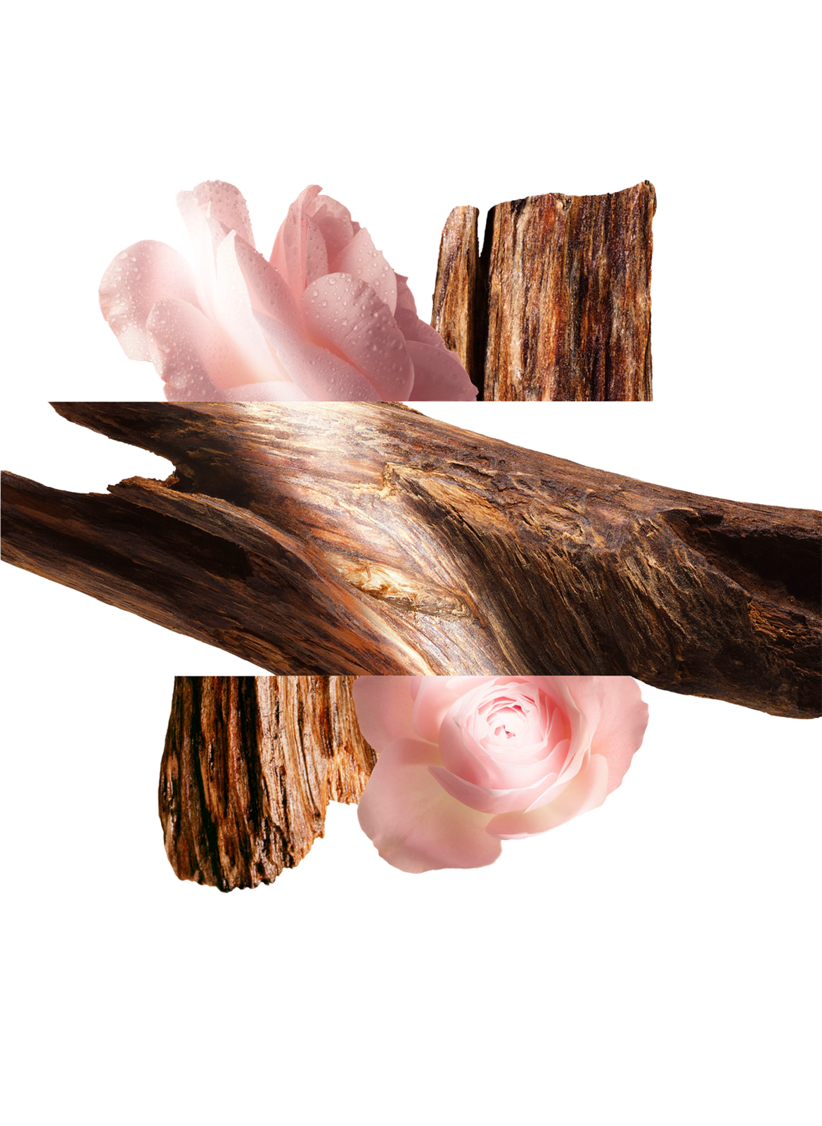 Oud Alezan - Crème de Parfum HERMÈS No color