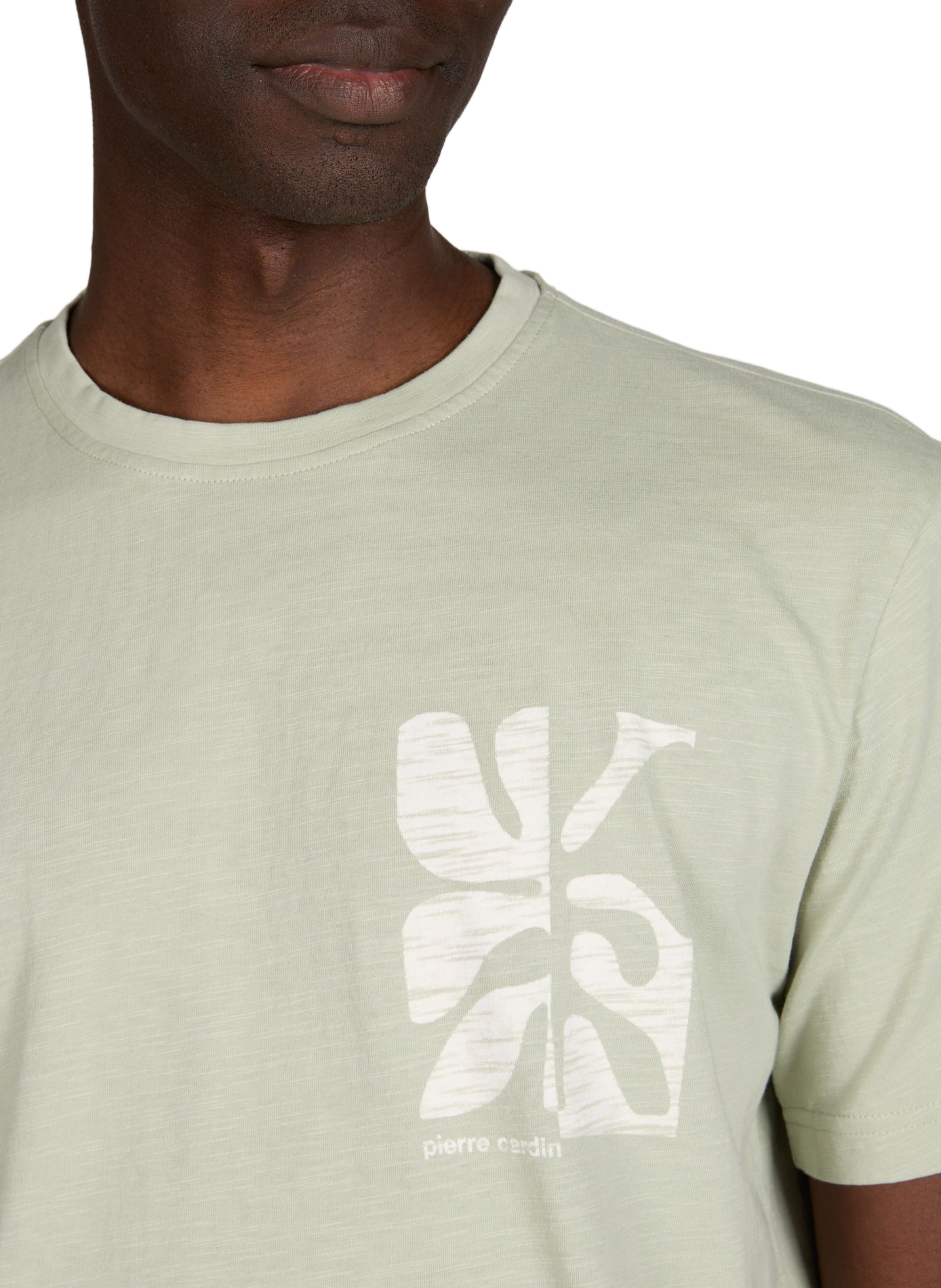 Cotton round-neck T-shirt PIERRE CARDIN Green