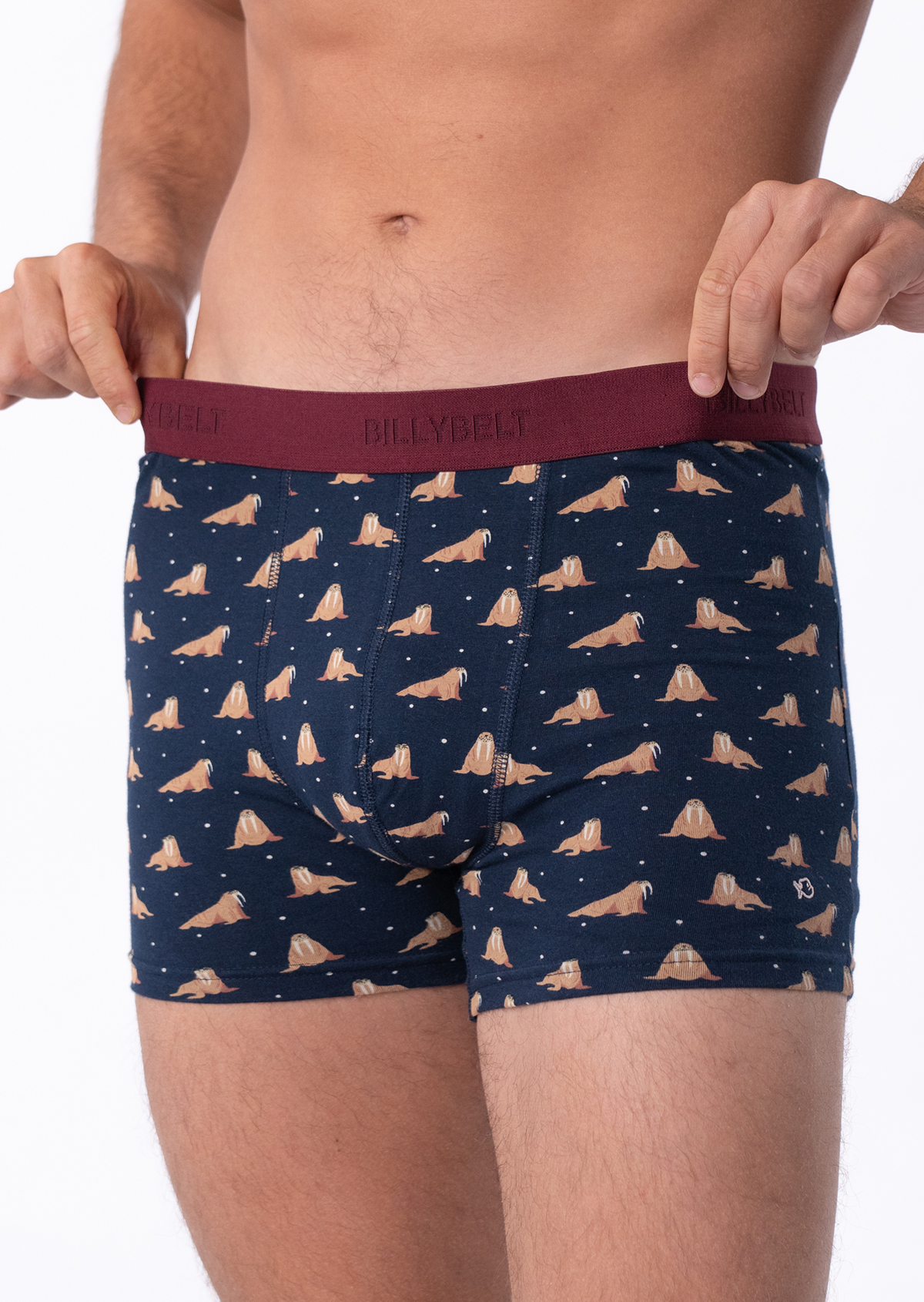 Boxer en coton biologique Bleu