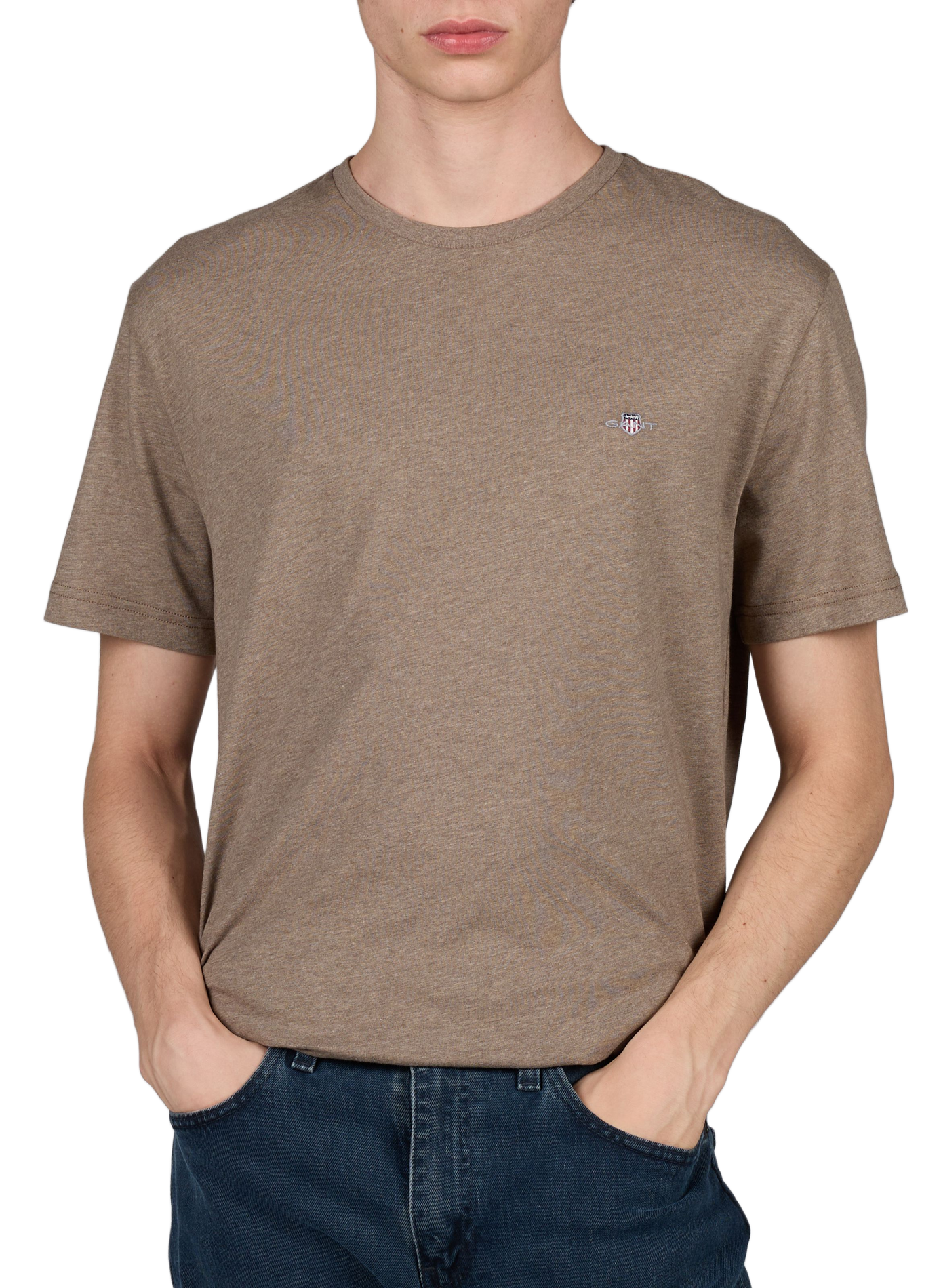 Plain Cotton T-shirt GANT Brown