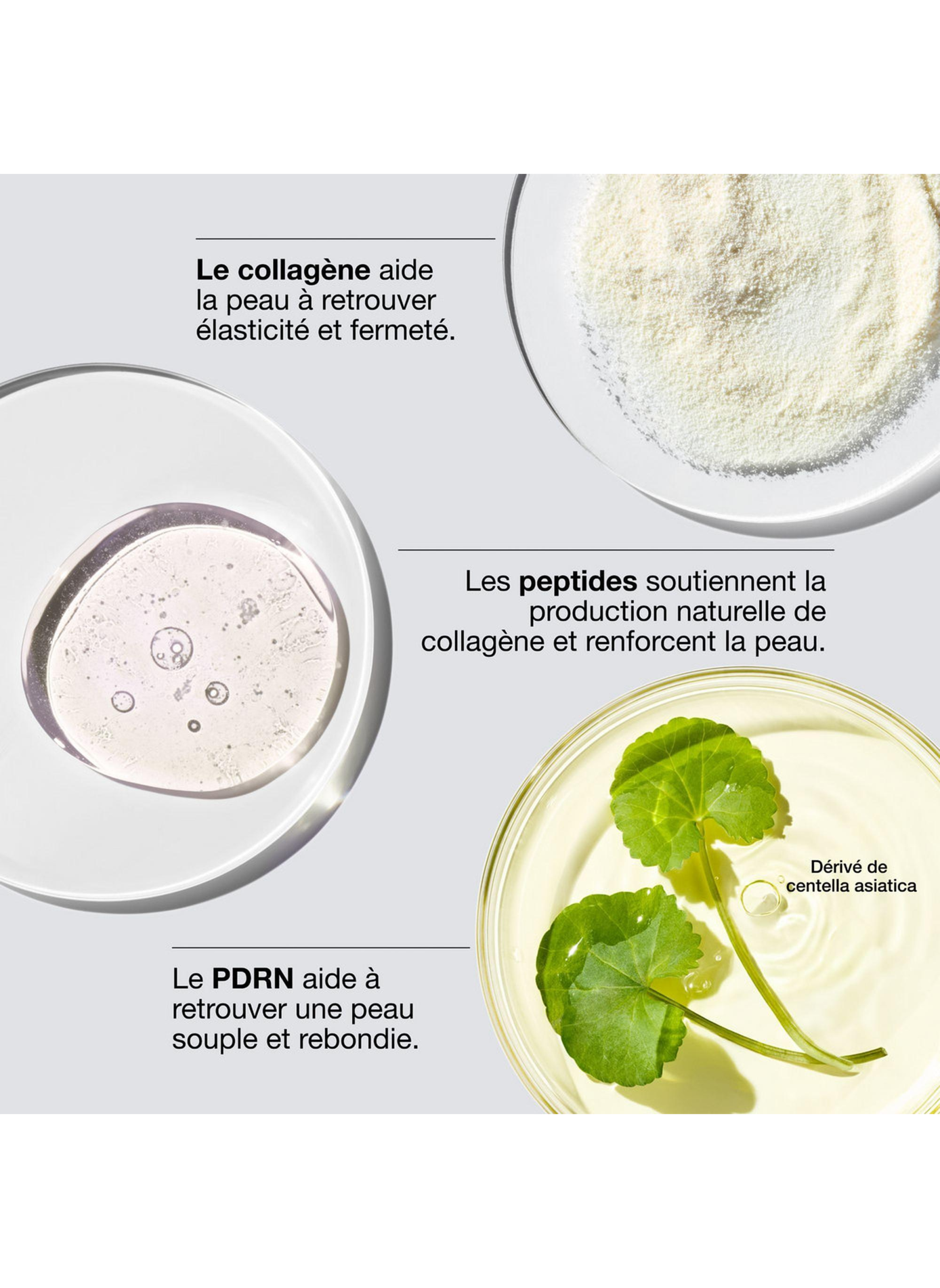 Clinique Smart Clinical Repair™ - Collageen Crème + PDRN CLINIQUE No color