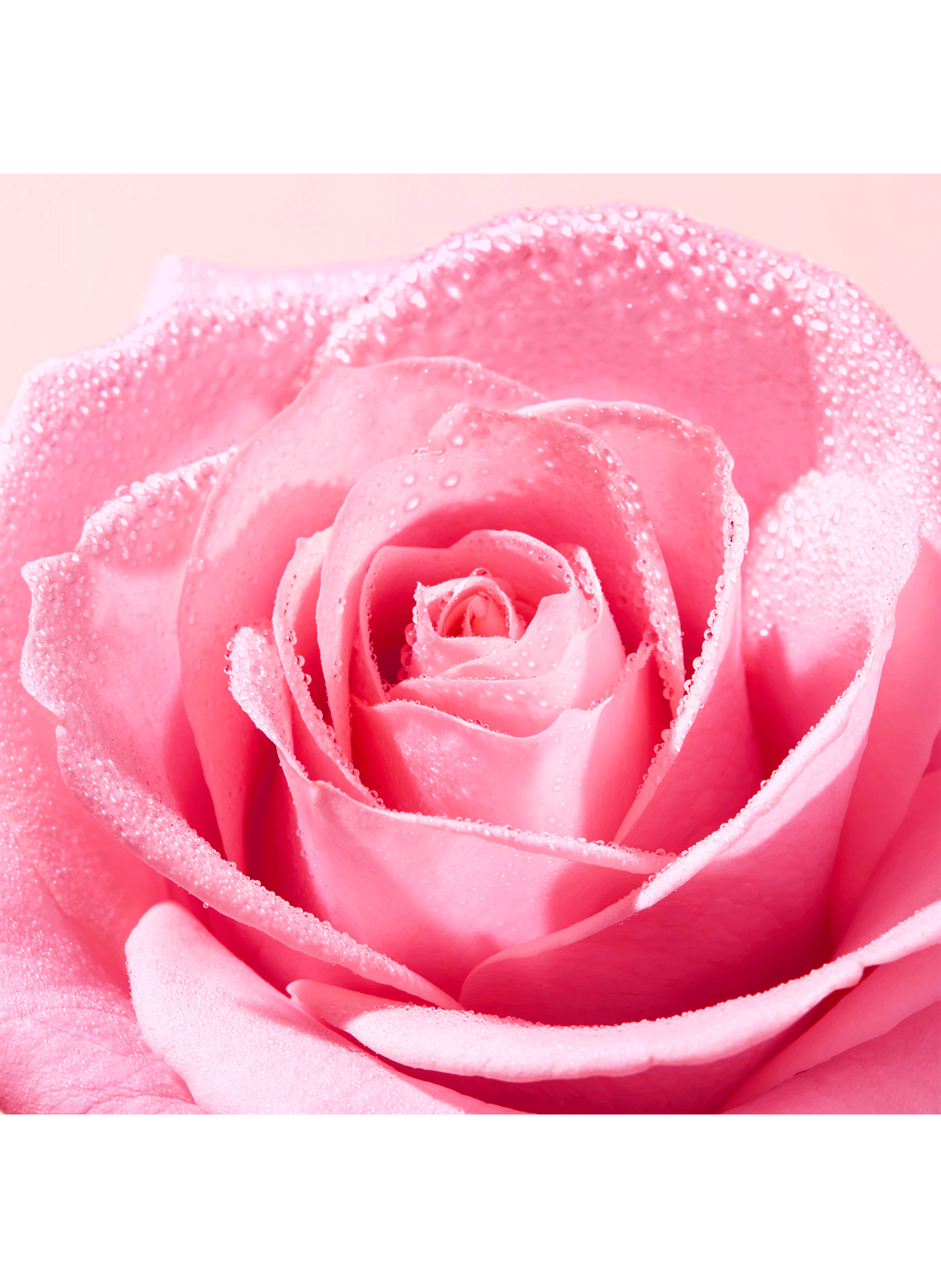 Lotion tonique fraîcheur - Very Rose NUXE No color