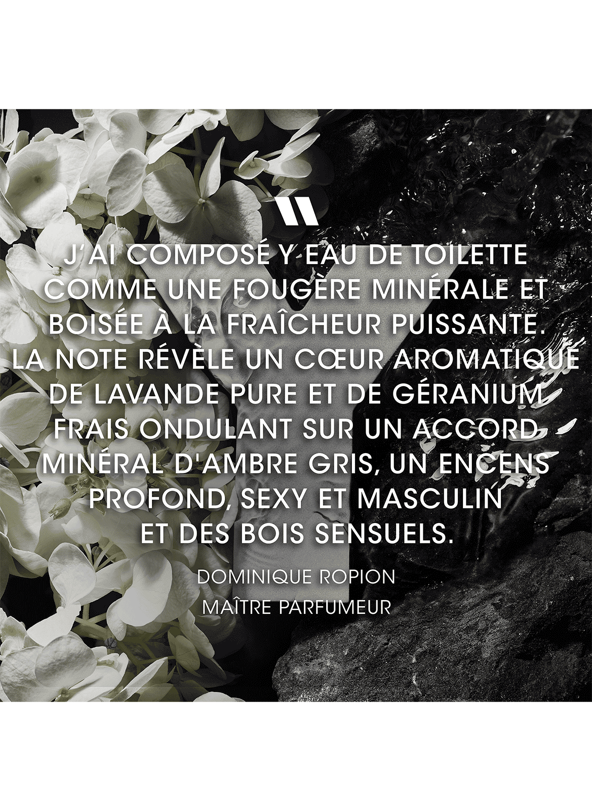 Old Y eau de toilette spray YVES SAINT LAURENT No color