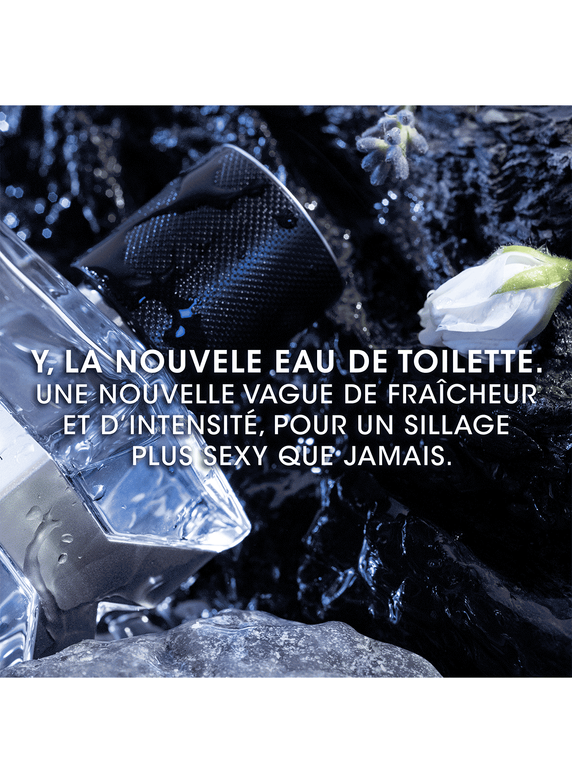 Old Y eau de toilette spray YVES SAINT LAURENT No color