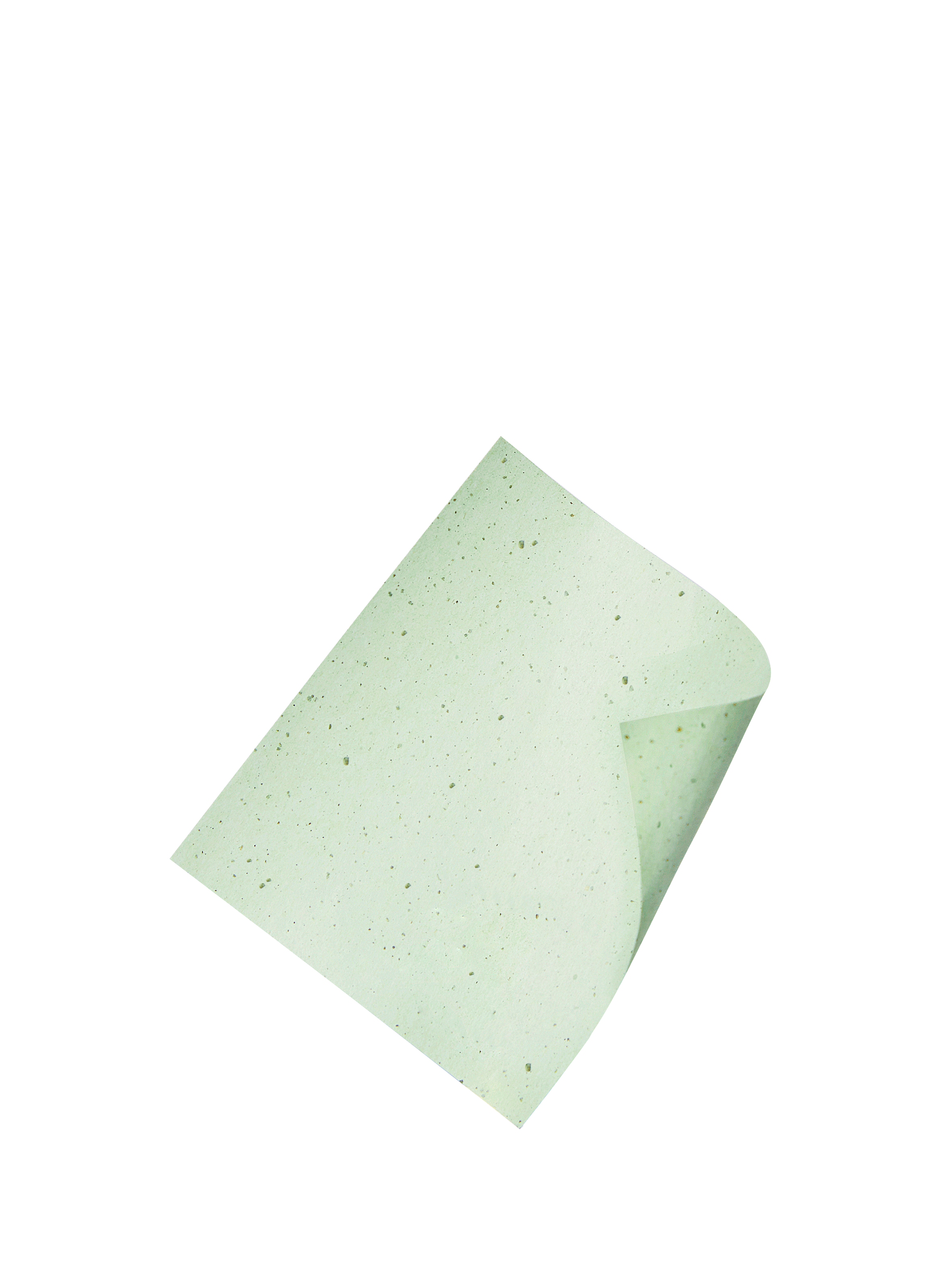 Papier matifiant MERCI HANDY No color