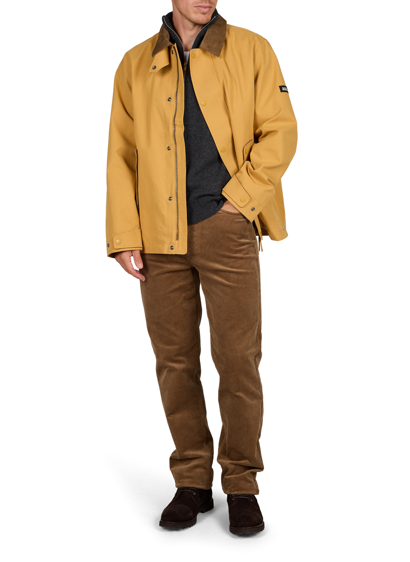 Ruime parka met klassieke kraag van katoenmix AIGLE Bruin