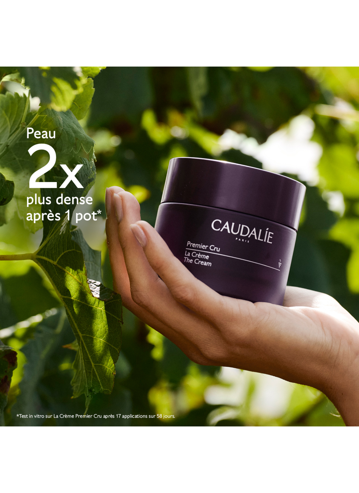Coffret Premier Cru Crème Yeux - Noël 2026 CAUDALIE No color