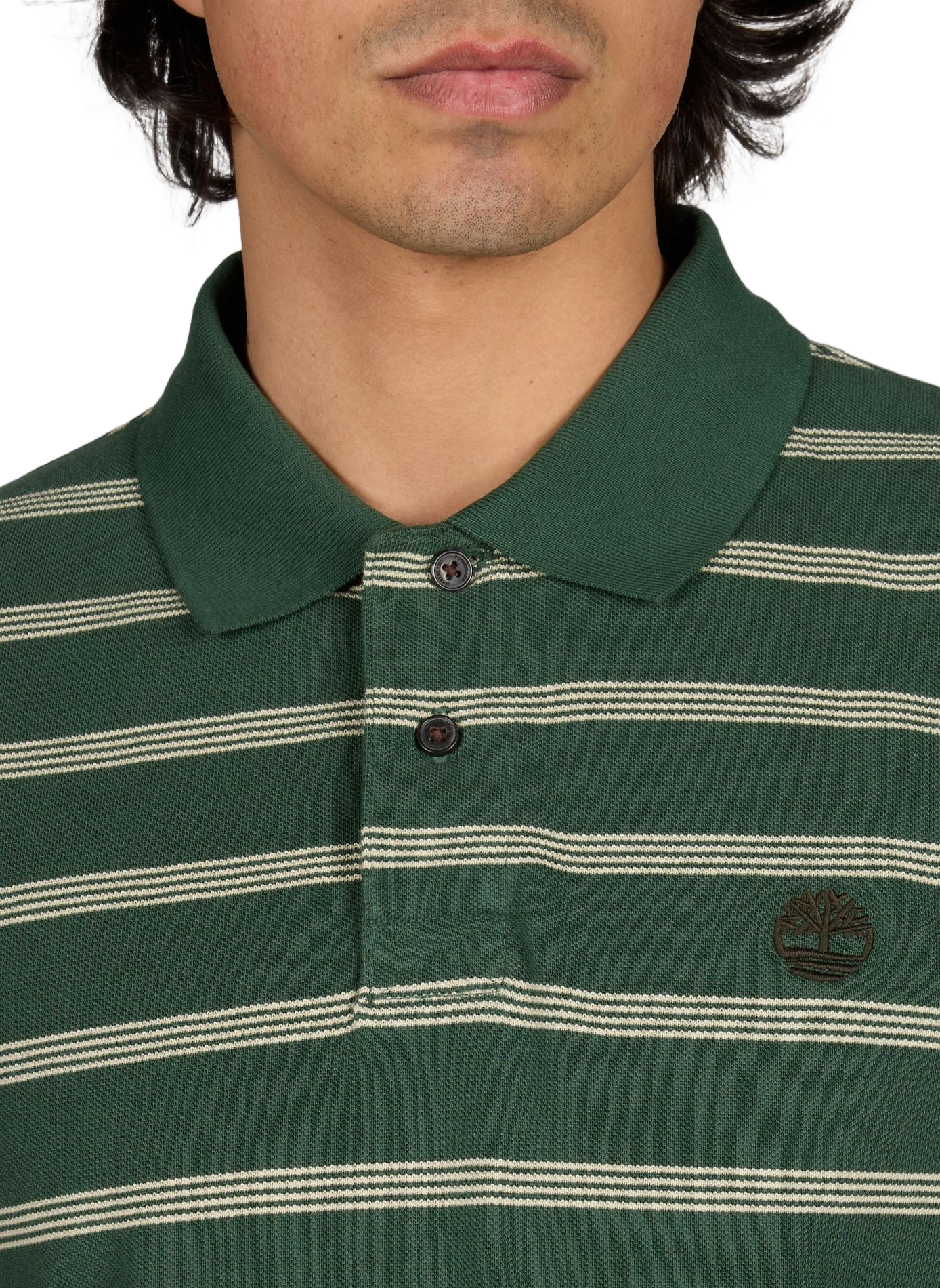Polo à rayures TIMBERLAND Vert