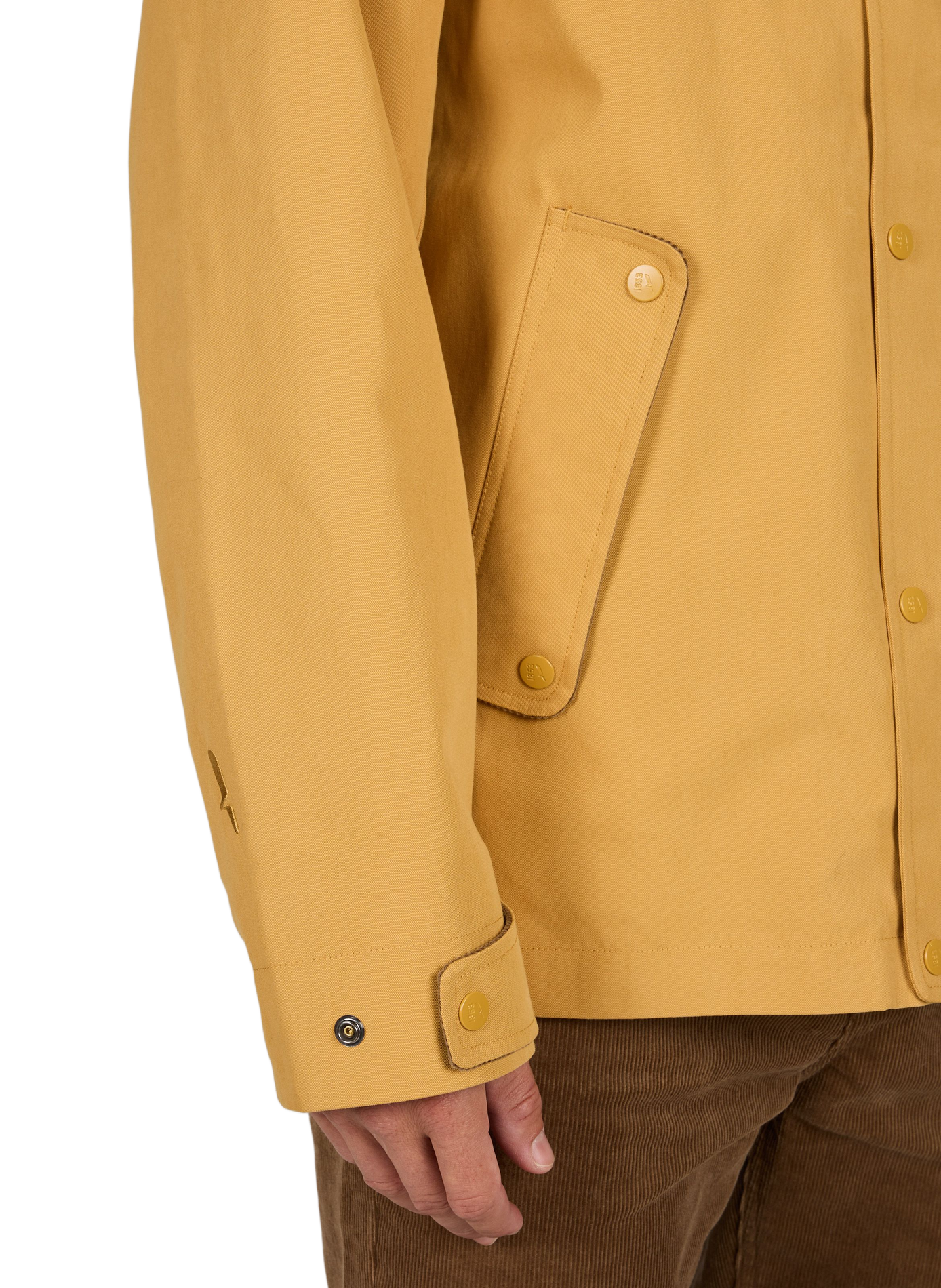Ruime parka met klassieke kraag van katoenmix AIGLE Bruin
