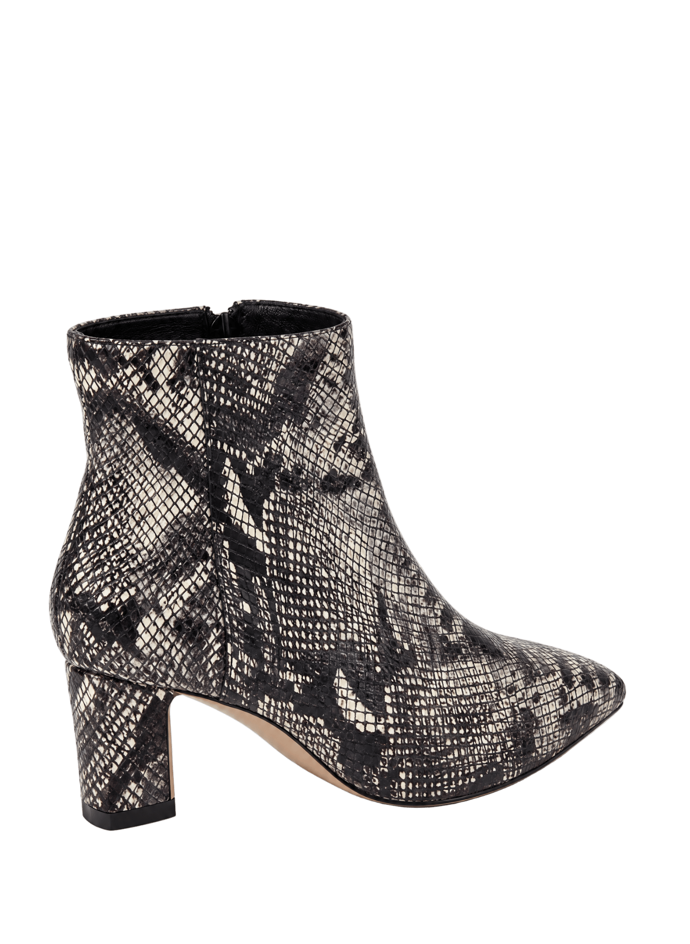 Bottines python en cuir  SAISON 1865 Multicolore