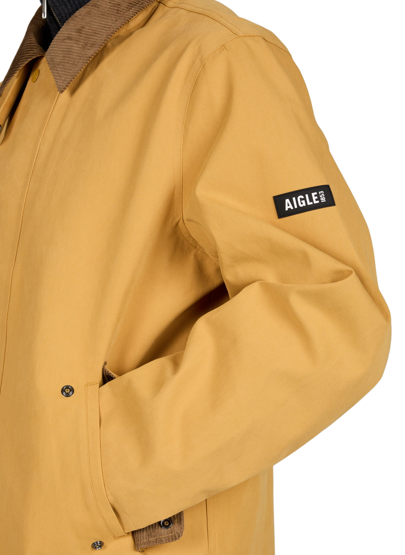 Ruime parka met klassieke kraag van katoenmix AIGLE Bruin