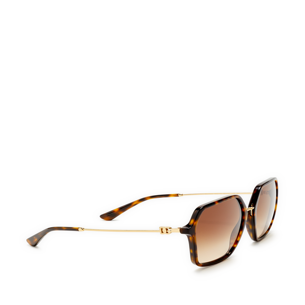 Dolce & Gabbana Sunglasses In Brown
