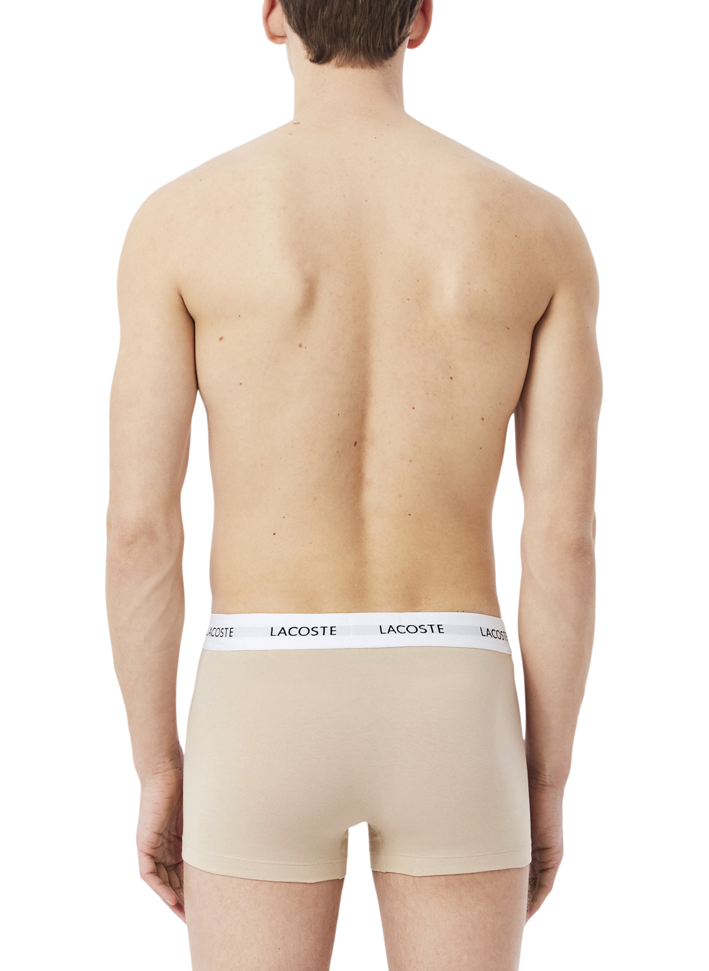 Set of 3 mixed cotton boxer shorts LACOSTE Multicolour