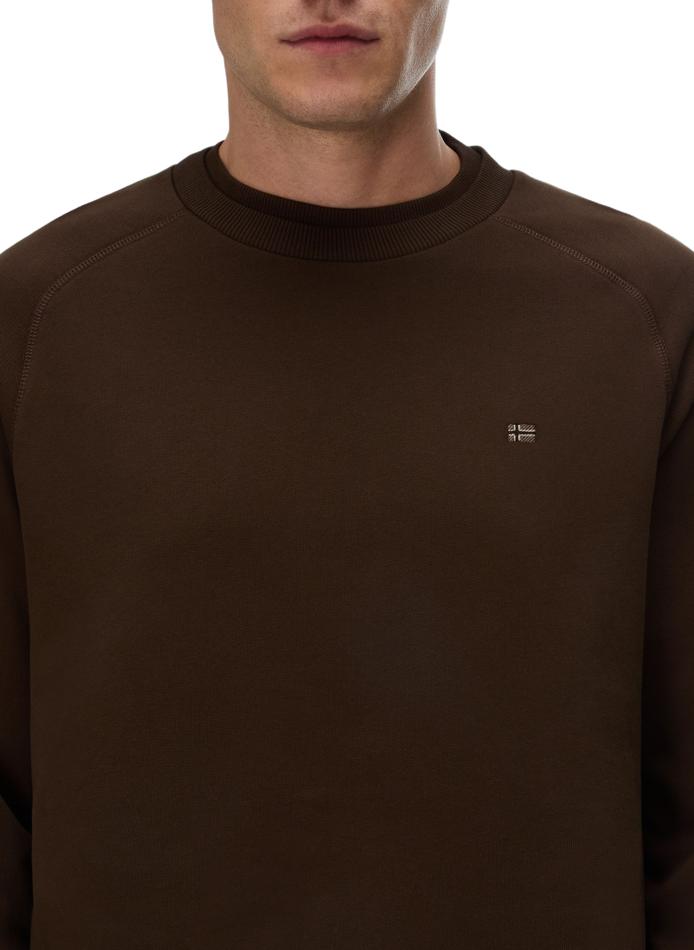 Cotton sweatshirt NAPAPIJRI Brown