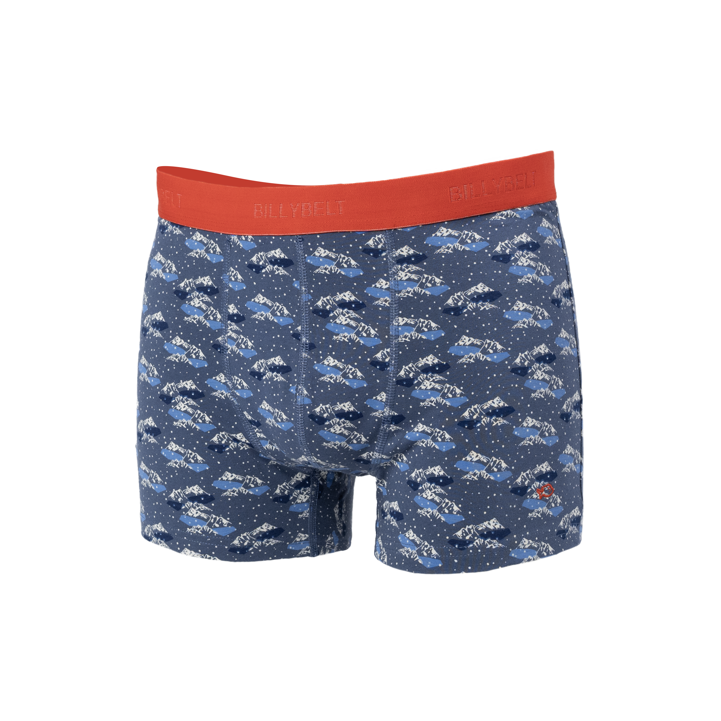 Boxer en coton biologique BILLYBELT Bleu