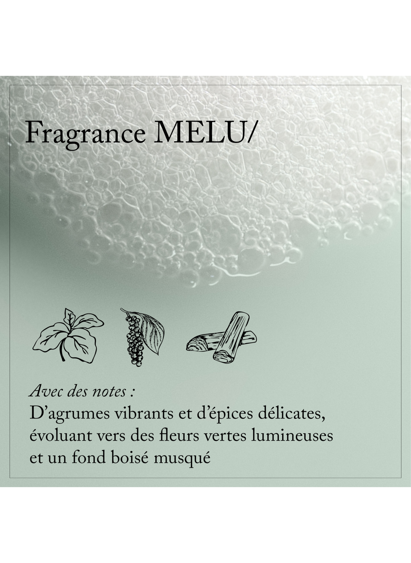 Melu Shampooing DAVINES No color