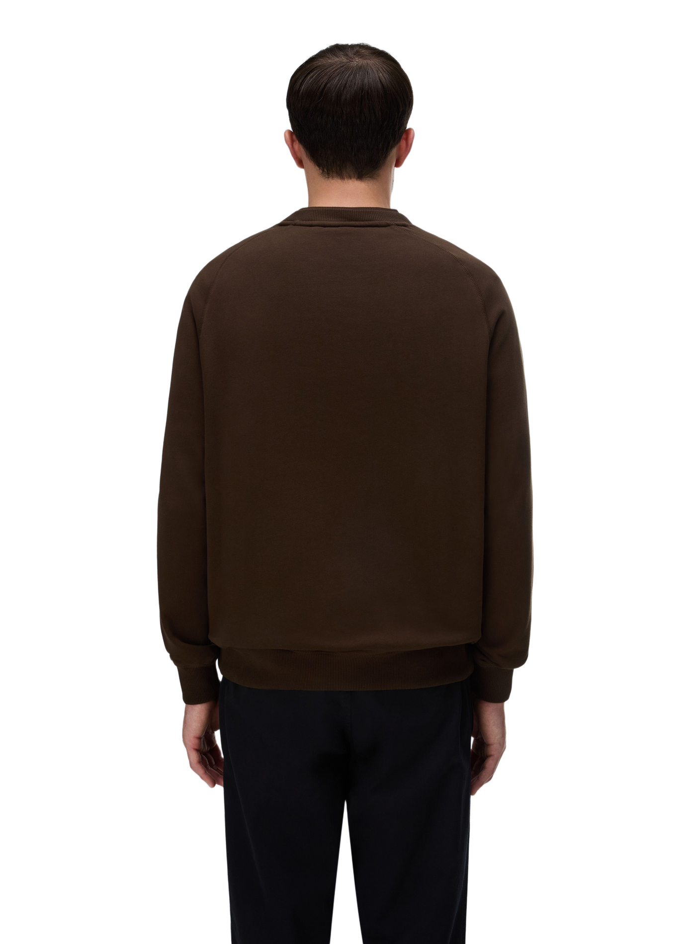 Cotton sweatshirt NAPAPIJRI Brown