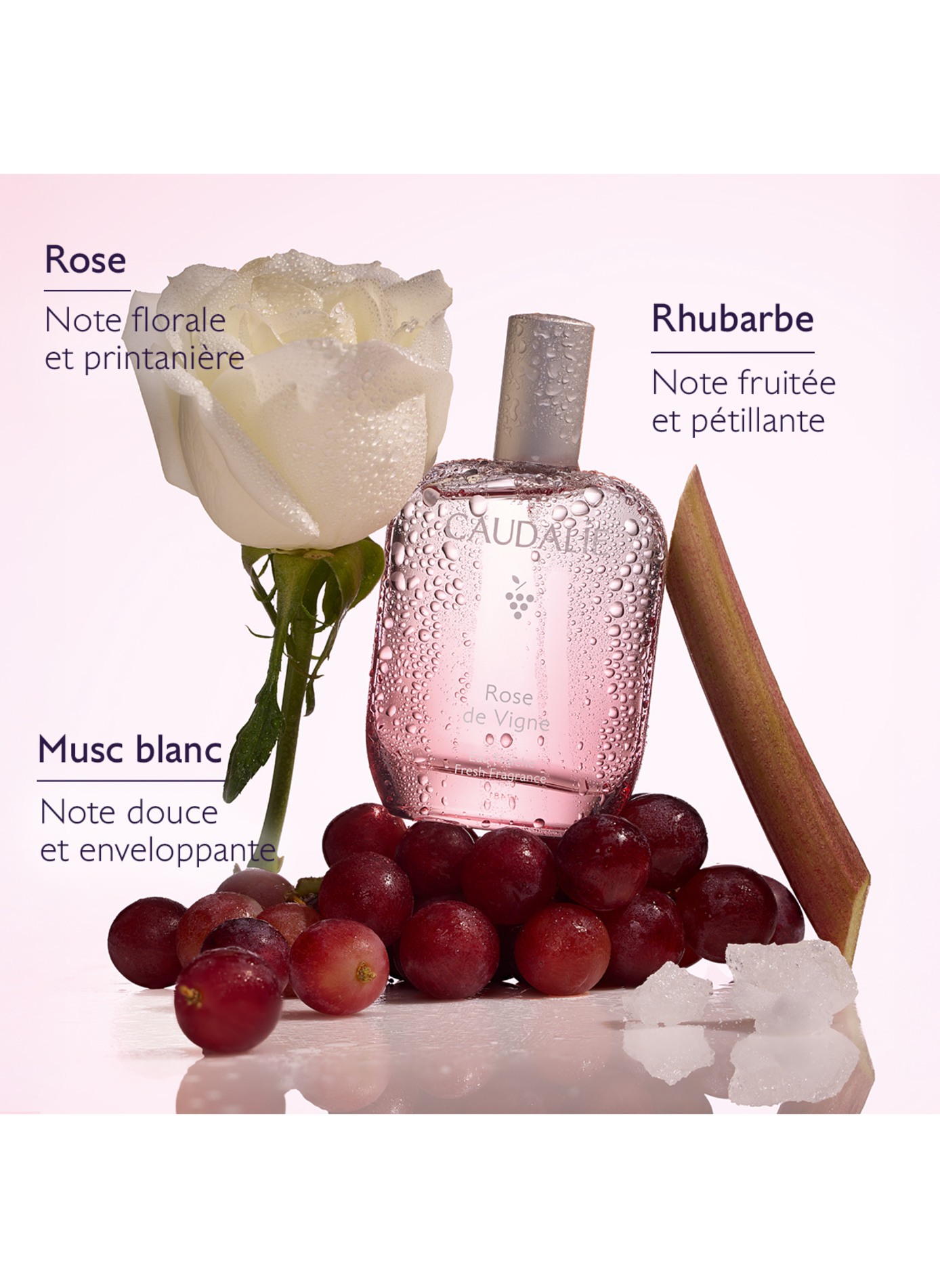 Coffret Rose des Vignes - Noël 2026 CAUDALIE No color