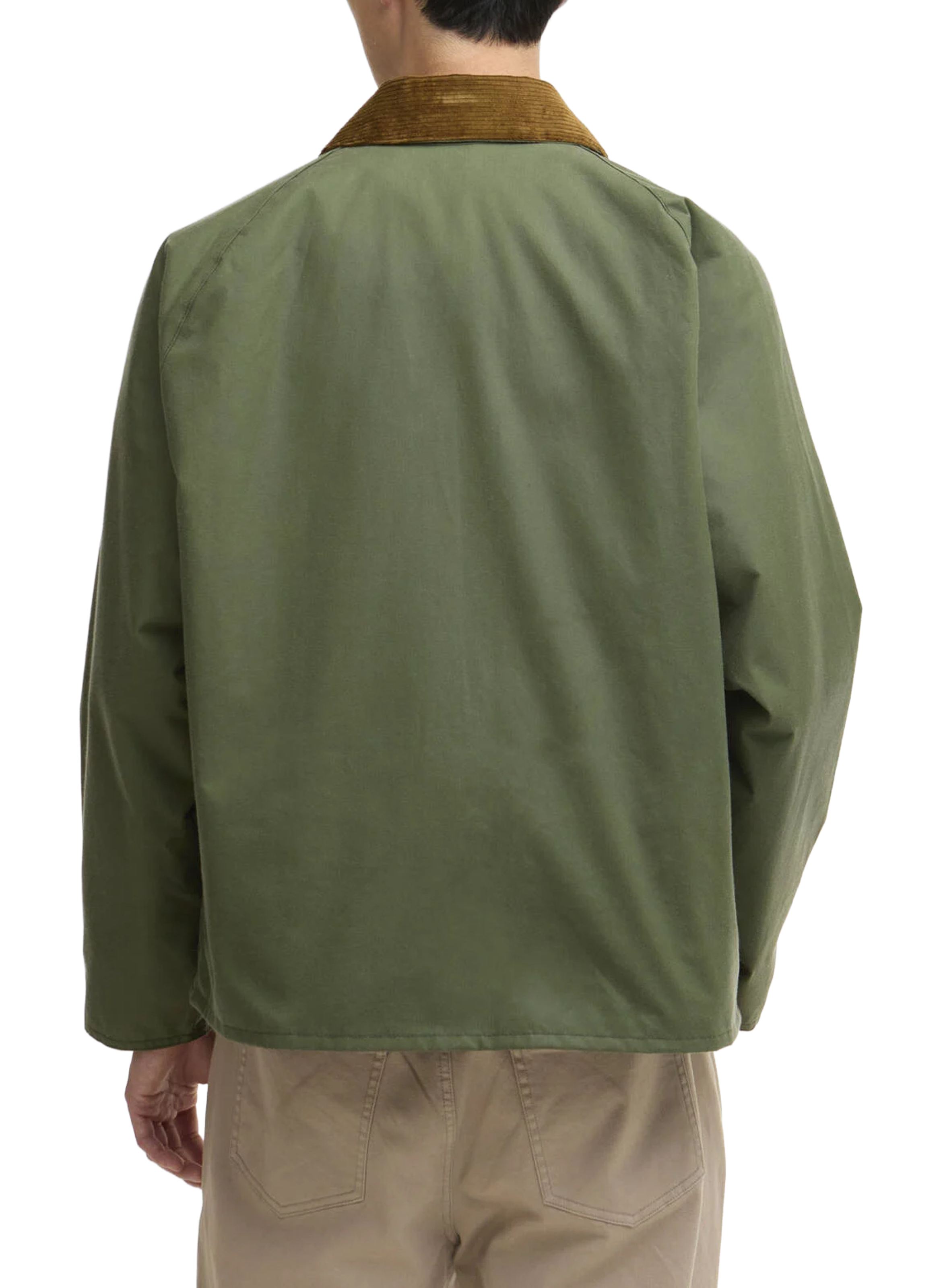 Parka droite en coton BARBOUR Vert