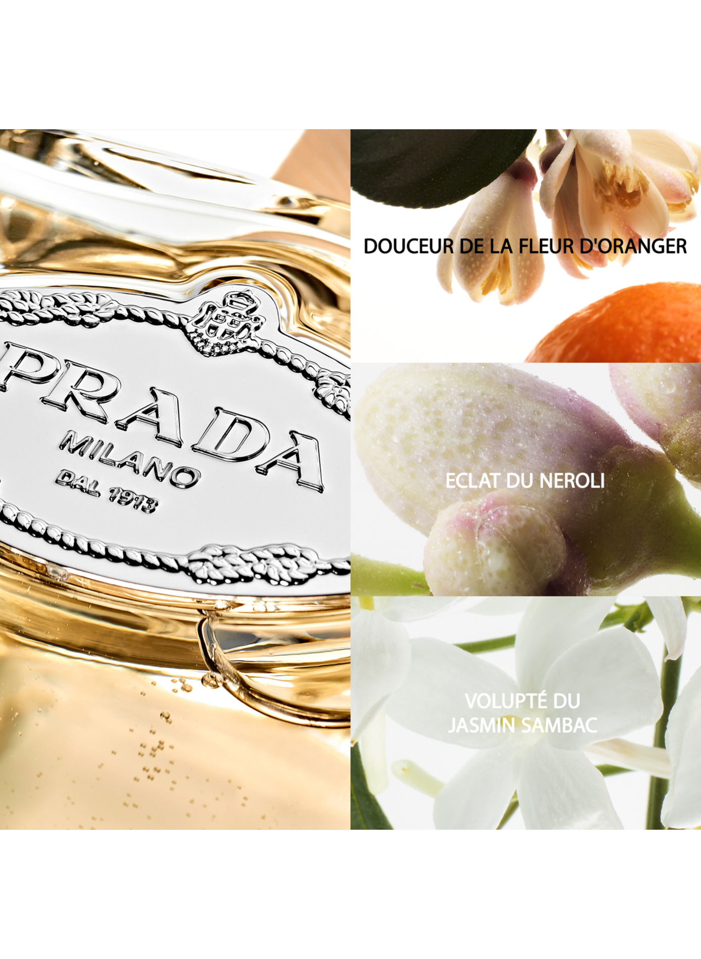 De Infusies - Vrolijke bloemige citrusachtige Eau de Parfum PRADA No color