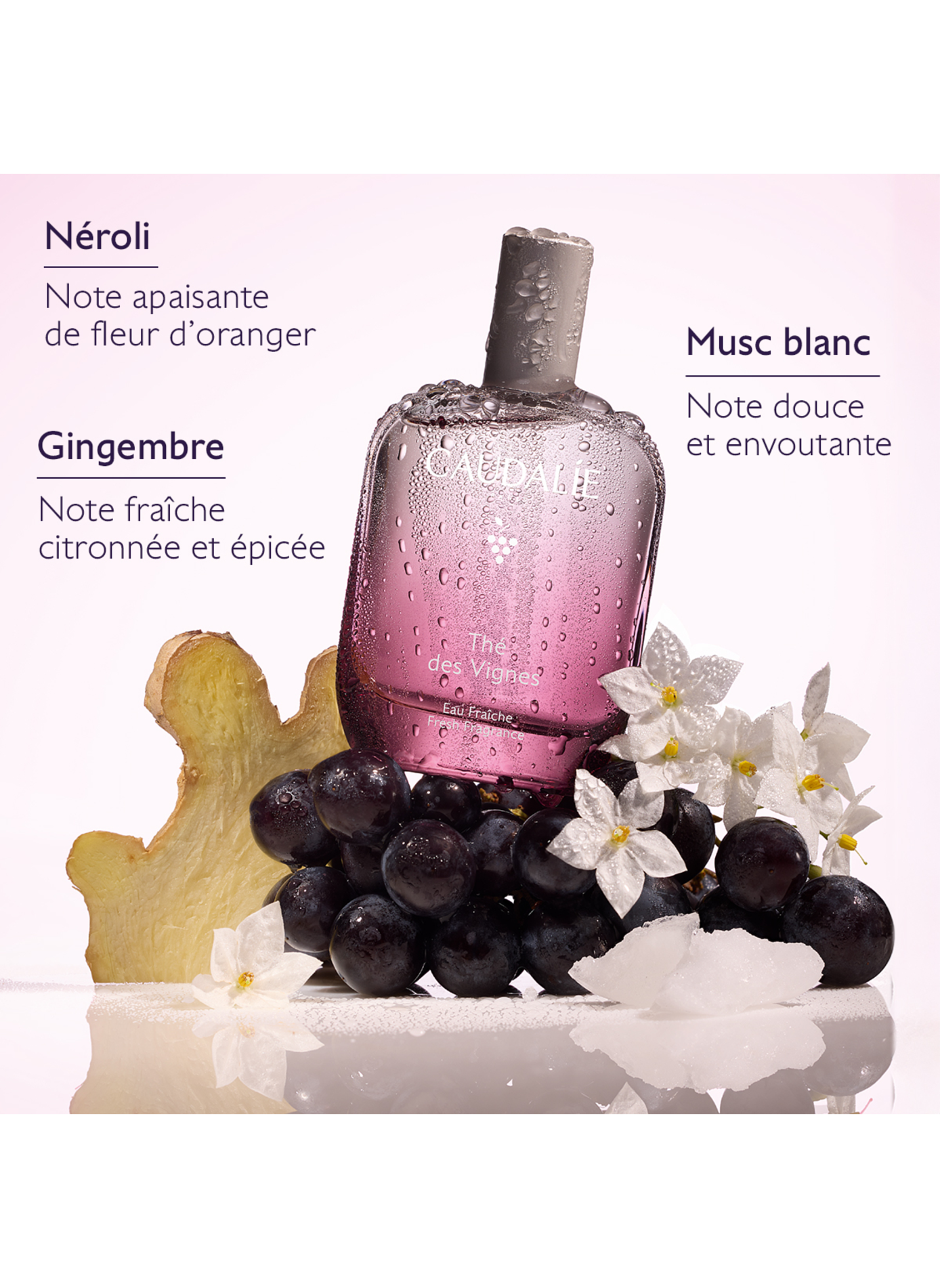 Coffret Thé des Vignes - Noël 2026 CAUDALIE No color