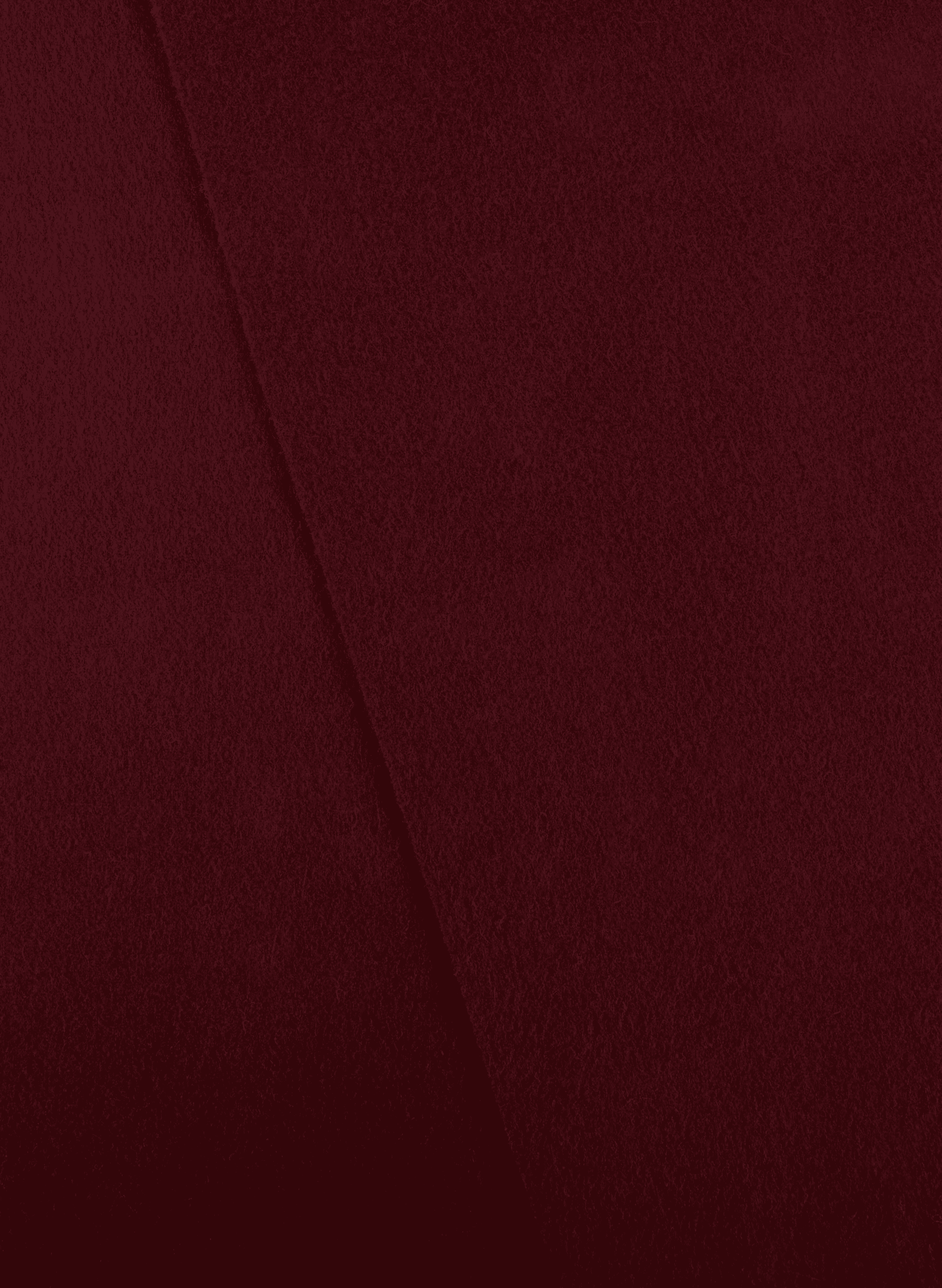 Wollschal mit Fransen ACNE STUDIOS Rot
