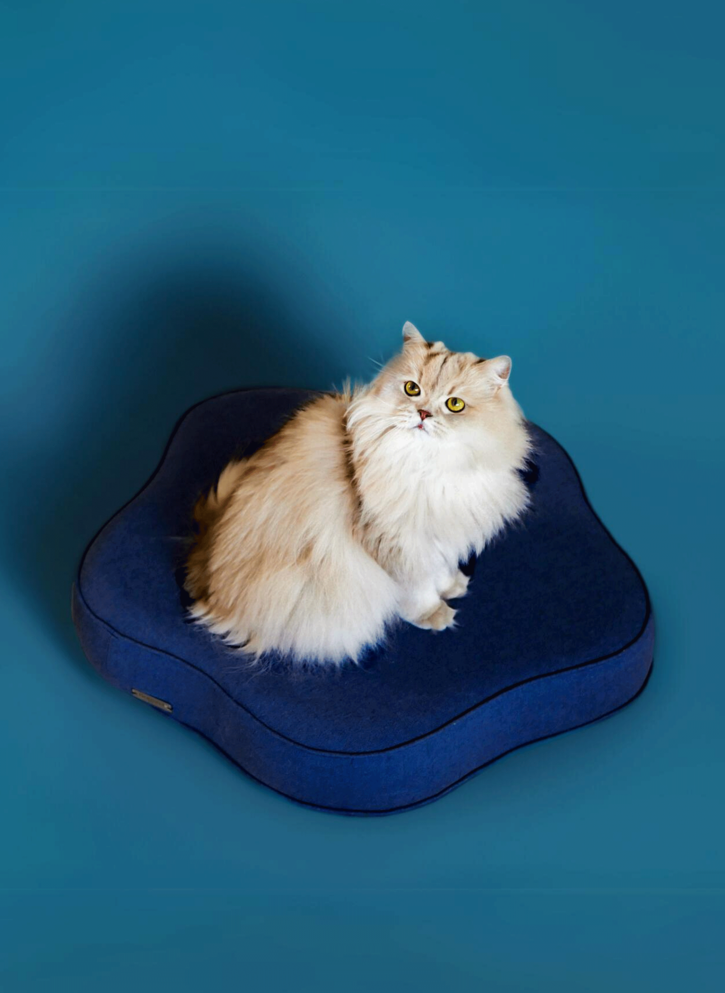 Panier pour chien ou chat Harmony Bleu