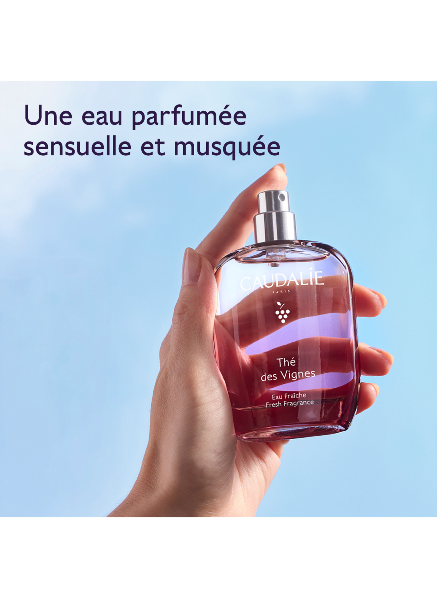Coffret Thé des Vignes - Noël 2026 CAUDALIE No color