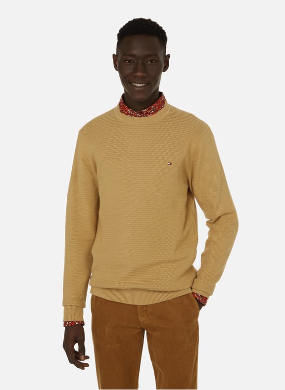 COTTON JUMPER TOMMY HILFIGER for MEN Printemps