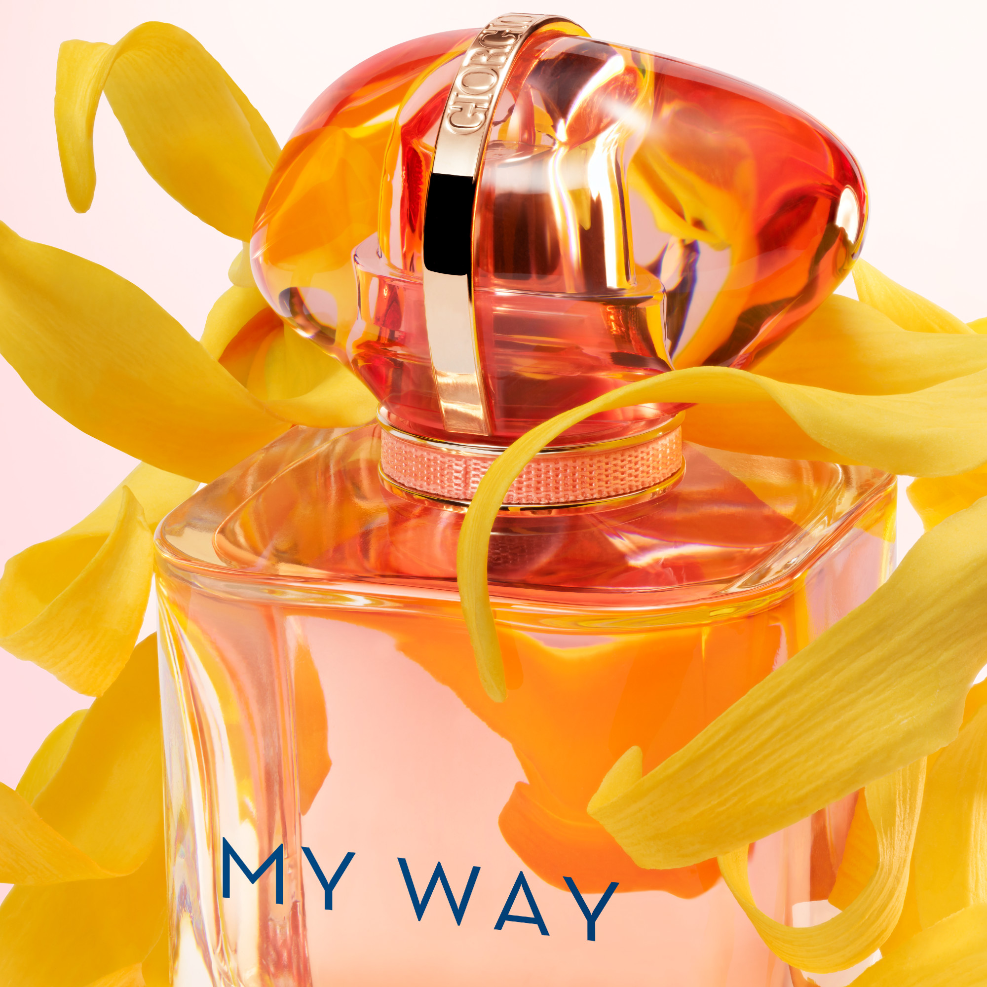 My Way - Eau de Parfum ARMANI No color
