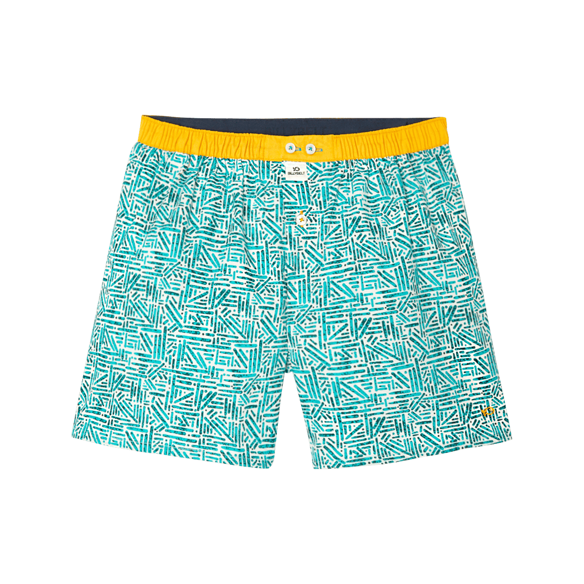 Caleçon en coton biologique BILLYBELT Bleu