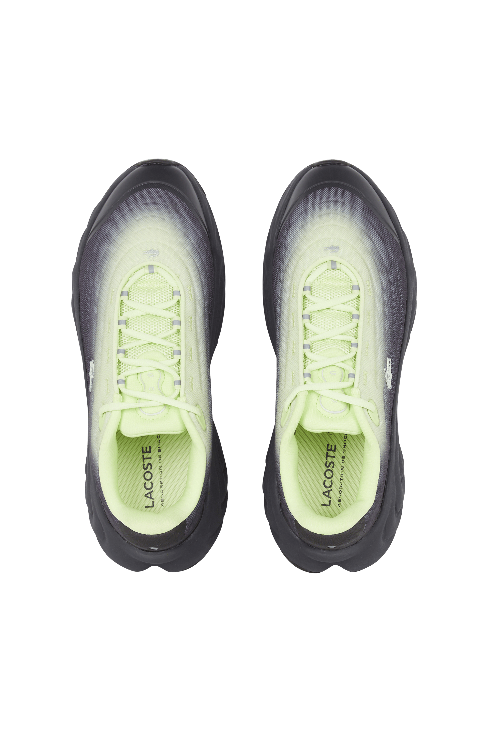 Baskets spinor LACOSTE Multicolore