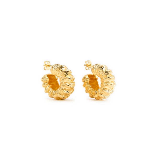 Boucles d'oreilles plissées Boucles d'oreilles plissées