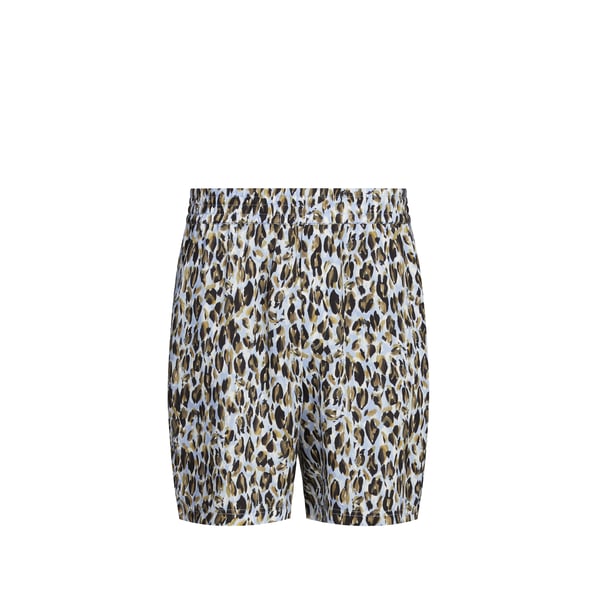Short FINT Short FINT