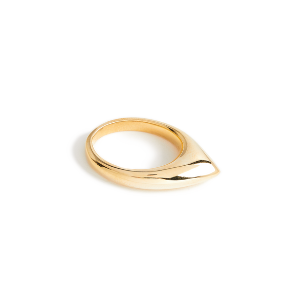 Ariana Boussard-reifel Ring With Tip In Gold