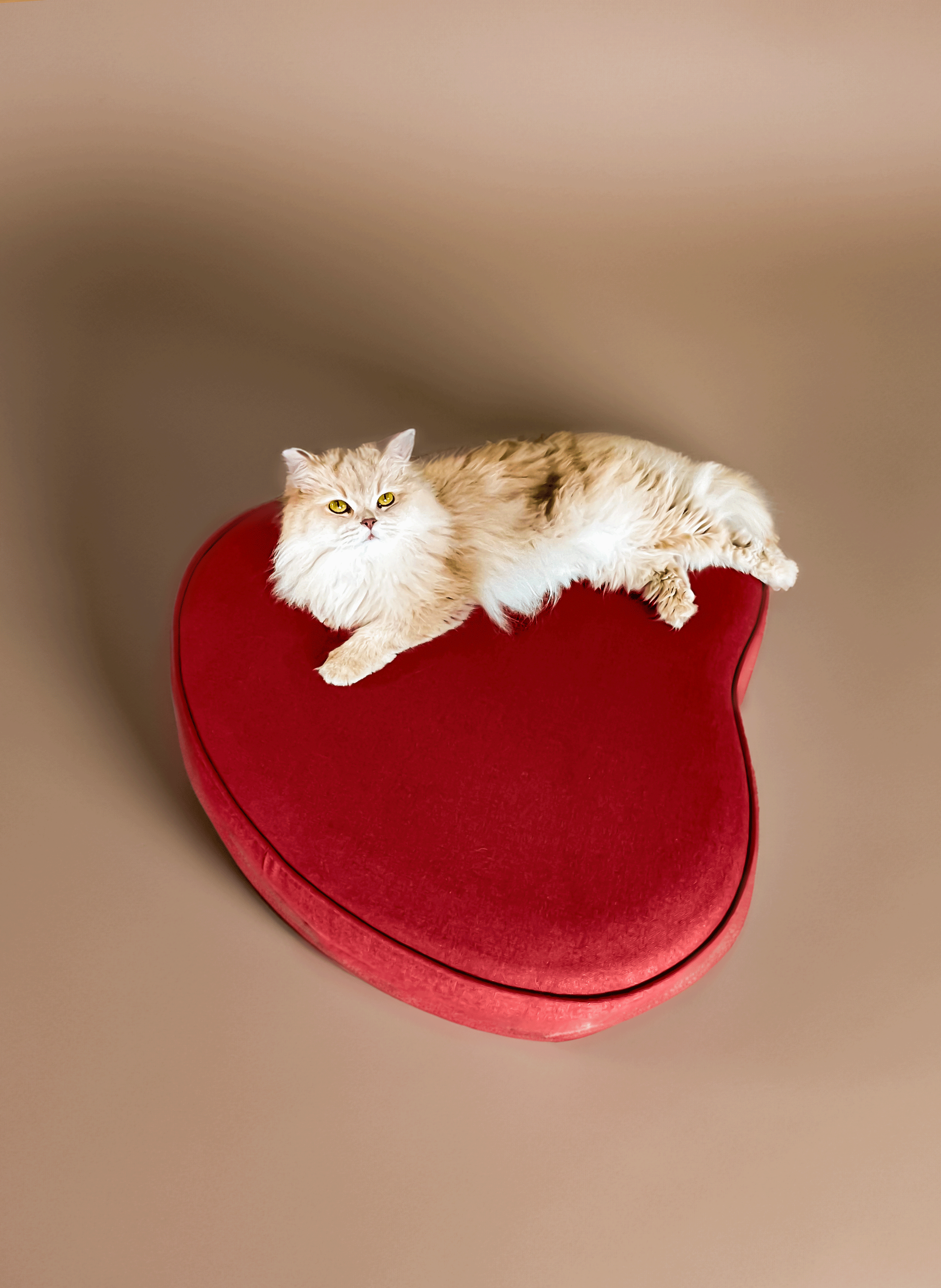 Tapis pour chien ou chat Cocoon Rouge