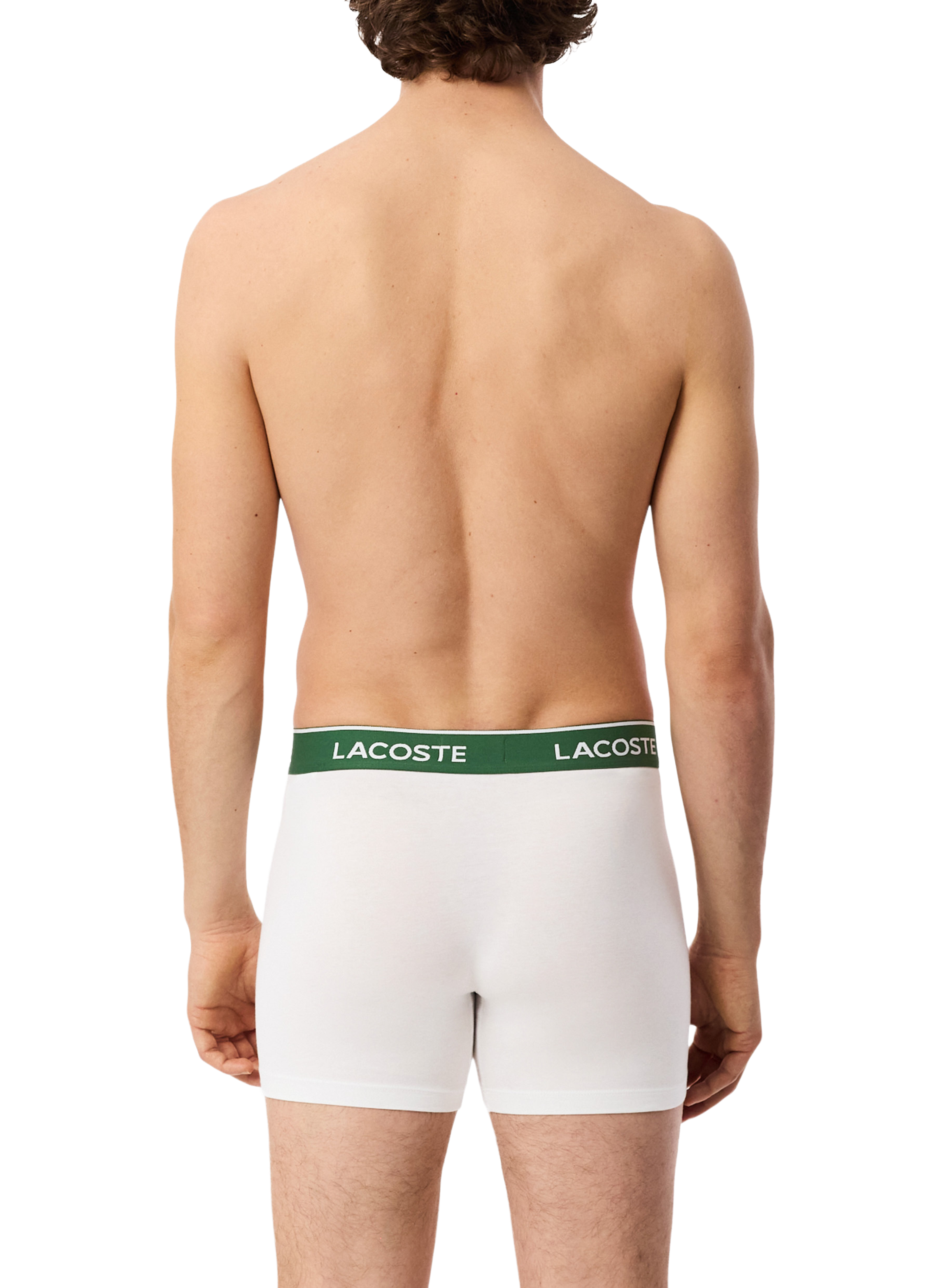 Lot de 3 boxers en coton stretch LACOSTE Multicolore